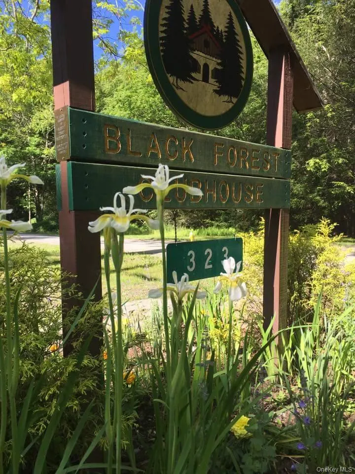 41 Upper Lumber Road, Lumberland, NY, 2 Bedrooms Bedrooms, 6 Rooms Rooms,2 BathroomsBathrooms,Residential,For Rent,Upper Lumber,0,978781 41 Upper Lumber Road, Lumberland, NY, 2 Bedrooms Bedrooms, 6 Rooms Rooms,2 BathroomsBathrooms,Residential,For Rent,Upper Lumber,0,978781