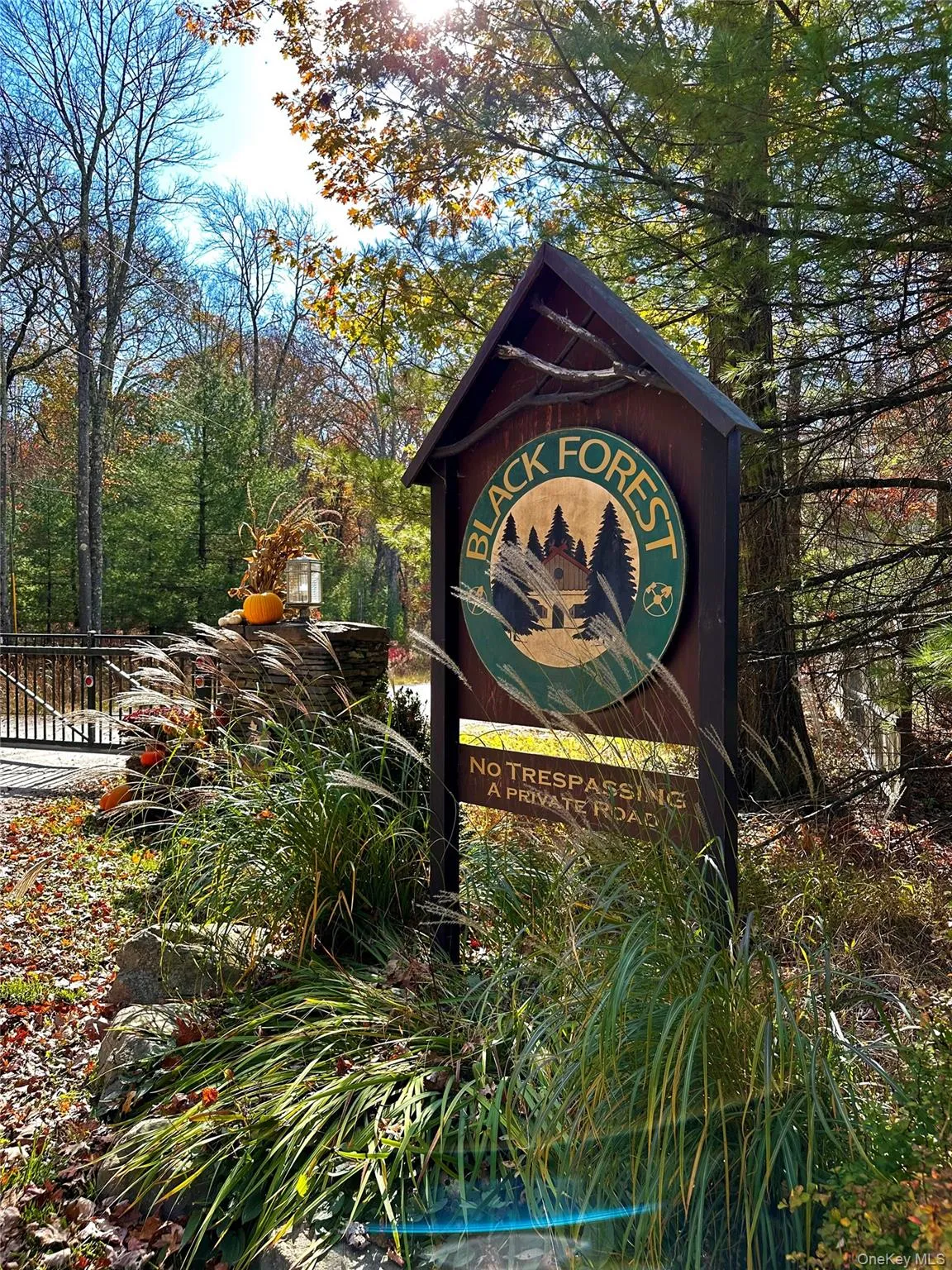 41 Upper Lumber Road, Lumberland, NY, 2 Bedrooms Bedrooms, 6 Rooms Rooms,2 BathroomsBathrooms,Residential,For Rent,Upper Lumber,0,978781 41 Upper Lumber Road, Lumberland, NY, 2 Bedrooms Bedrooms, 6 Rooms Rooms,2 BathroomsBathrooms,Residential,For Rent,Upper Lumber,0,978781