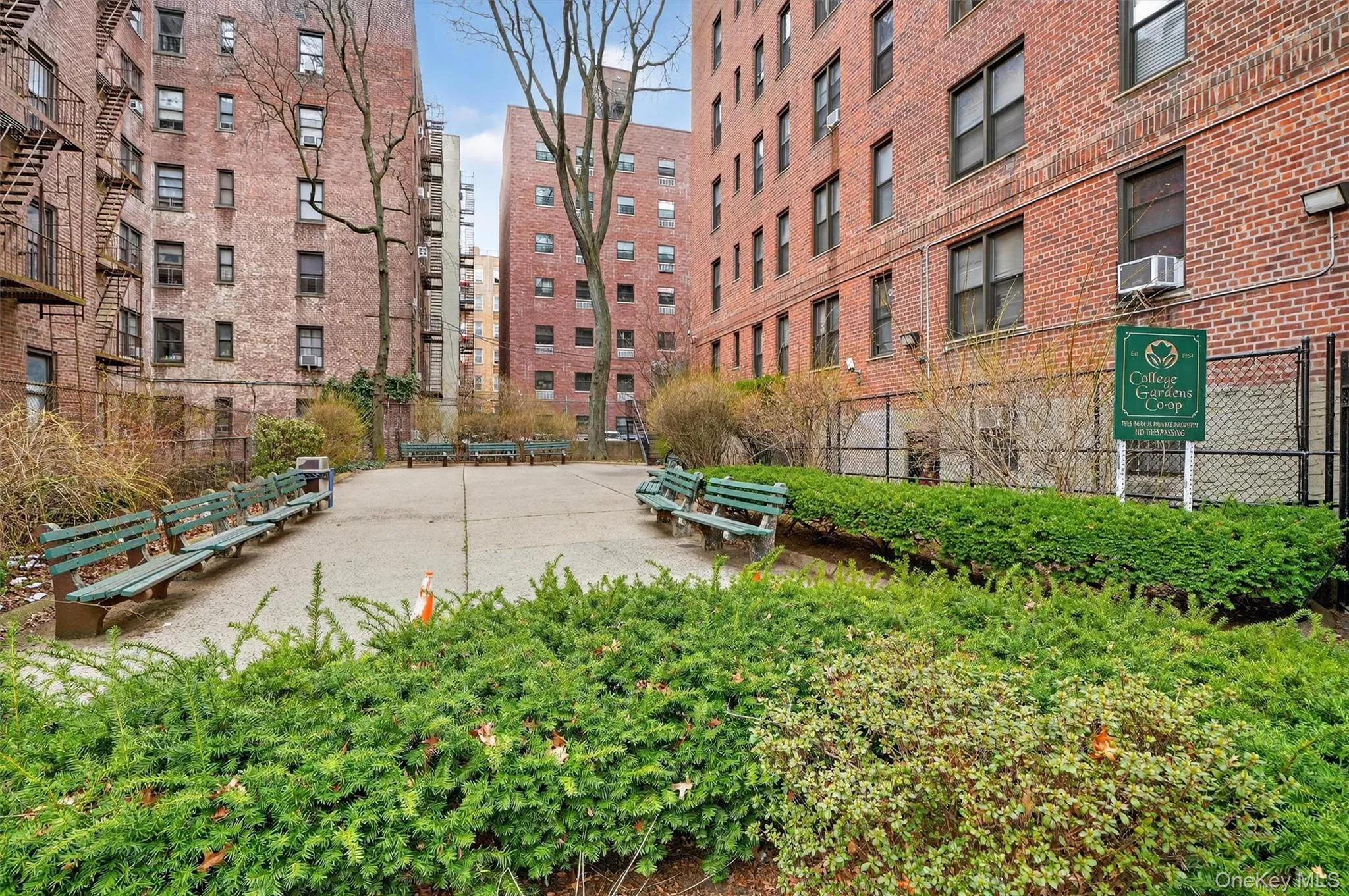 3535 Kings College Place, New York, NY, 3 Bedrooms Bedrooms, 6 Rooms Rooms,1 BathroomBathrooms,Residential,For Rent,Kings College,0,978922 3535 Kings College Place, New York, NY, 3 Bedrooms Bedrooms, 6 Rooms Rooms,1 BathroomBathrooms,Residential,For Rent,Kings College,0,978922