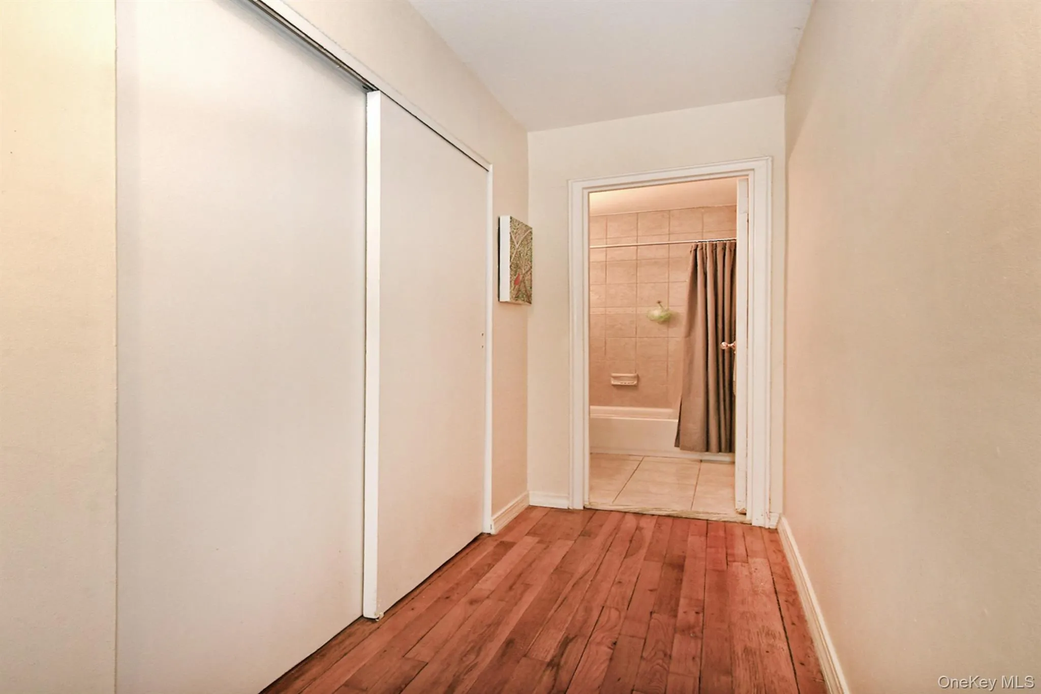 Entry Hall W/ DOUBLE Closet to Full Bath Entry Hall W/ DOUBLE Closet to Full Bath