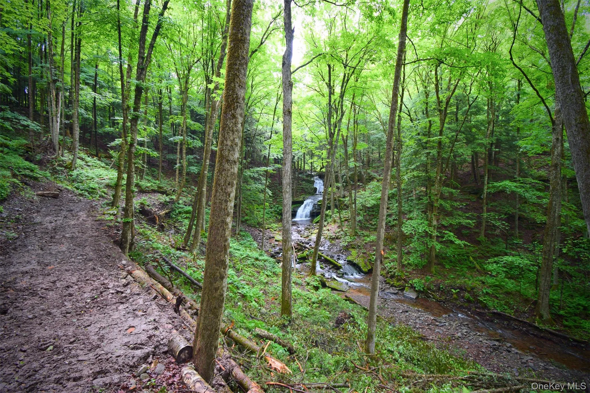 15 Manor Falls Drive, Callicoon, NY, 3 Bedrooms Bedrooms, 10 Rooms Rooms,2 BathroomsBathrooms,Residential,For Rent,Manor Falls,0,979130 15 Manor Falls Drive, Callicoon, NY, 3 Bedrooms Bedrooms, 10 Rooms Rooms,2 BathroomsBathrooms,Residential,For Rent,Manor Falls,0,979130