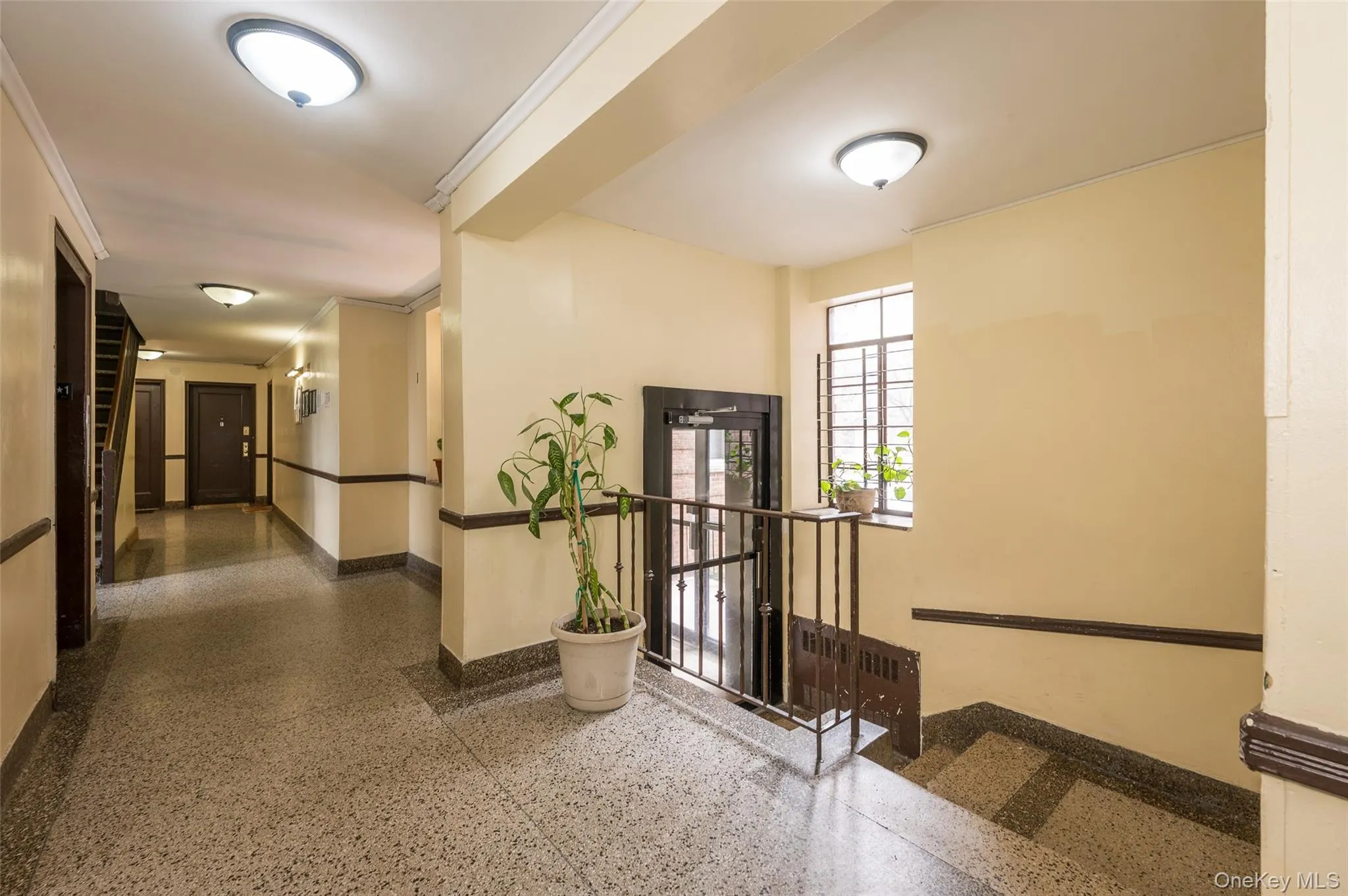 Corridor with speckled floor and ornamental molding Corridor with speckled floor and ornamental molding