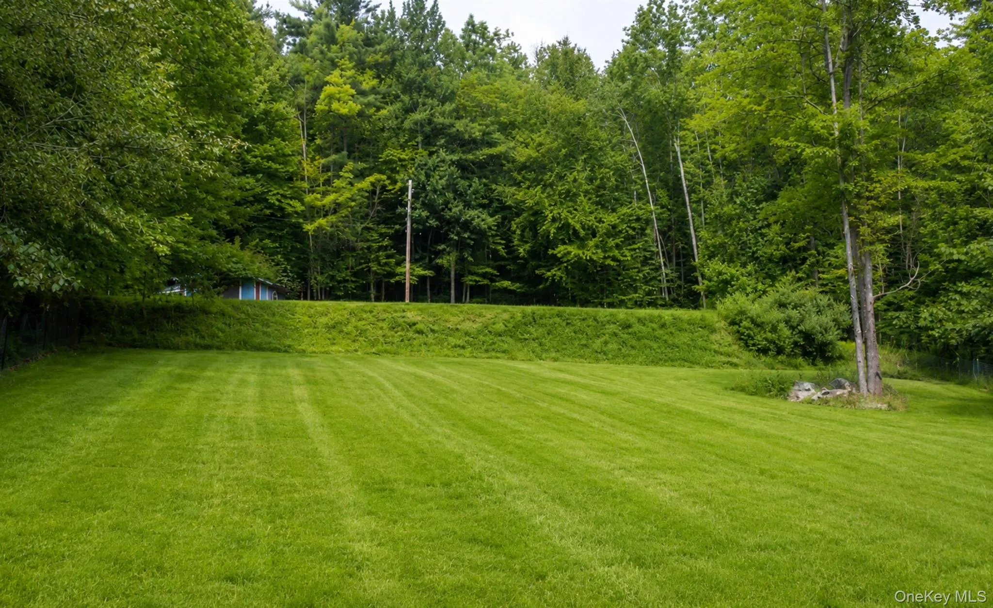 279 Snow Road, Hadley, NY, ,Land,For Rent,Snow,0,979157 279 Snow Road, Hadley, NY, ,Land,For Rent,Snow,0,979157