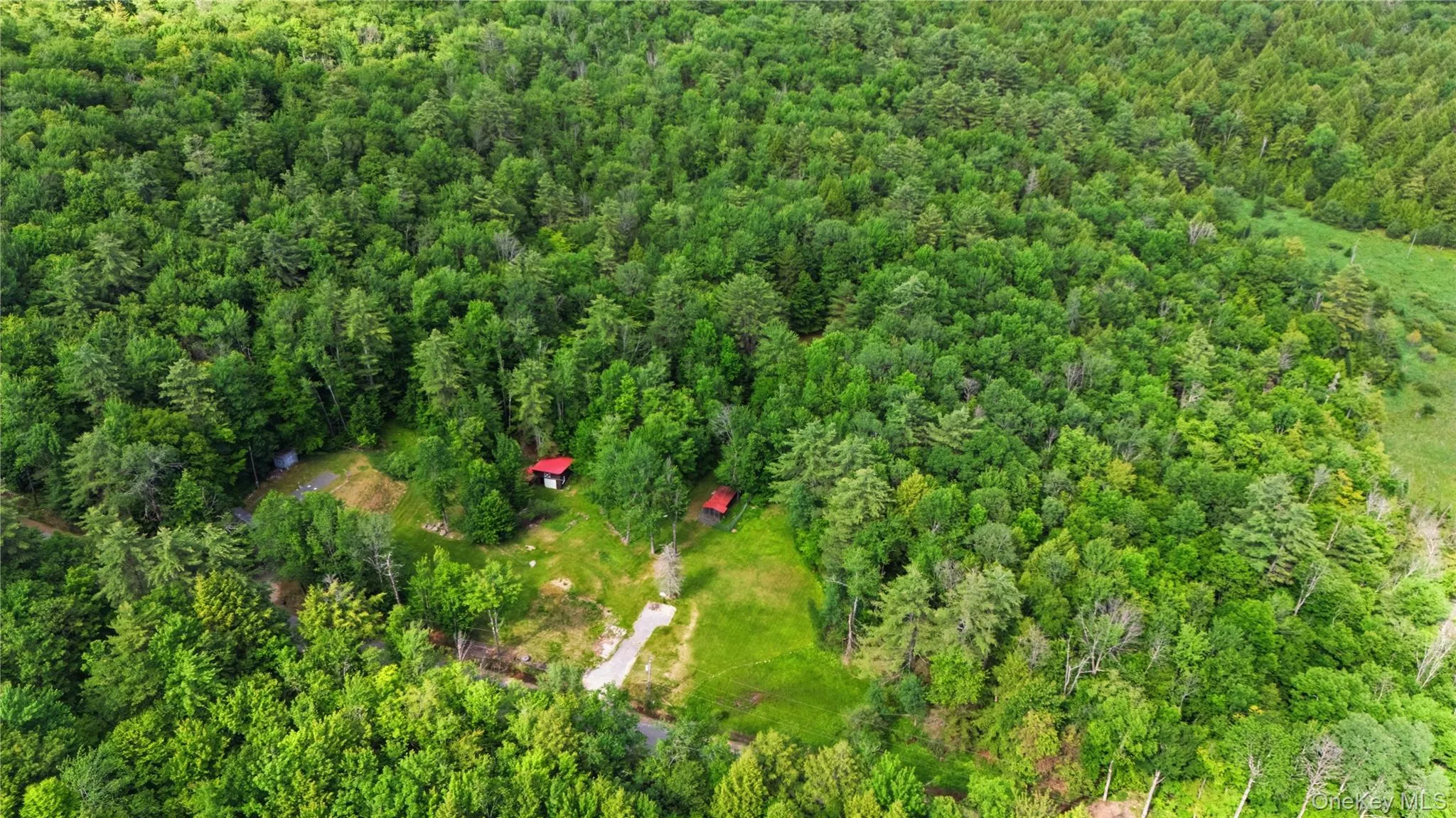 279 Snow Road, Hadley, NY, ,Land,For Rent,Snow,0,979157 279 Snow Road, Hadley, NY, ,Land,For Rent,Snow,0,979157