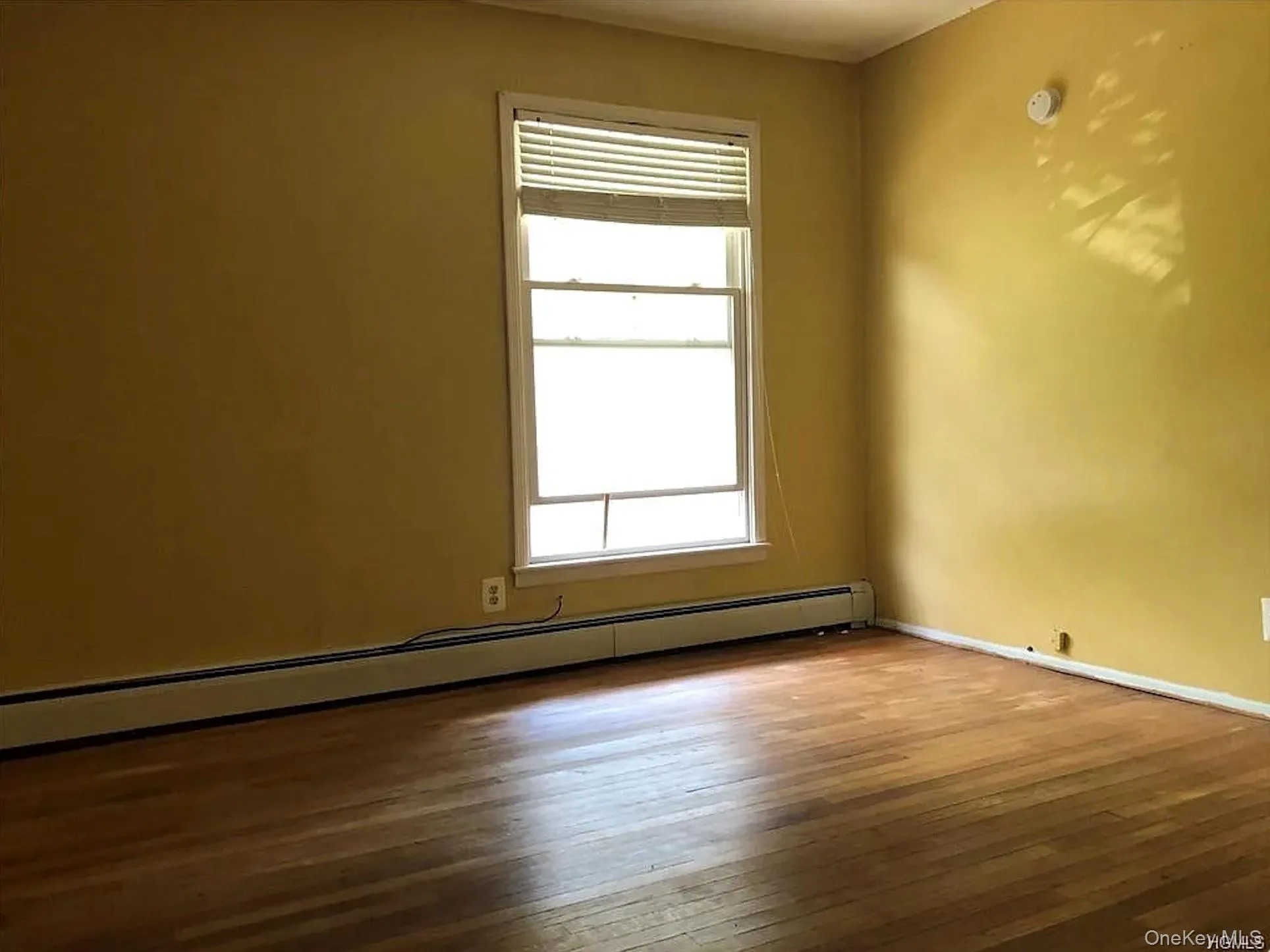 52 Horton Avenue, Middletown, NY, 3 Bedrooms Bedrooms, 6 Rooms Rooms,2 BathroomsBathrooms,Residential Lease,For Rent,Horton,0,979192 52 Horton Avenue, Middletown, NY, 3 Bedrooms Bedrooms, 6 Rooms Rooms,2 BathroomsBathrooms,Residential Lease,For Rent,Horton,0,979192