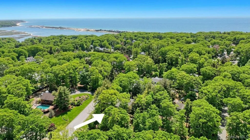 1 Audubon Gate, Brookhaven, NY, 3 Bedrooms Bedrooms, 12 Rooms Rooms,3 BathroomsBathrooms,Residential,For Rent,Audubon Gate,0,979324 1 Audubon Gate, Brookhaven, NY, 3 Bedrooms Bedrooms, 12 Rooms Rooms,3 BathroomsBathrooms,Residential,For Rent,Audubon Gate,0,979324