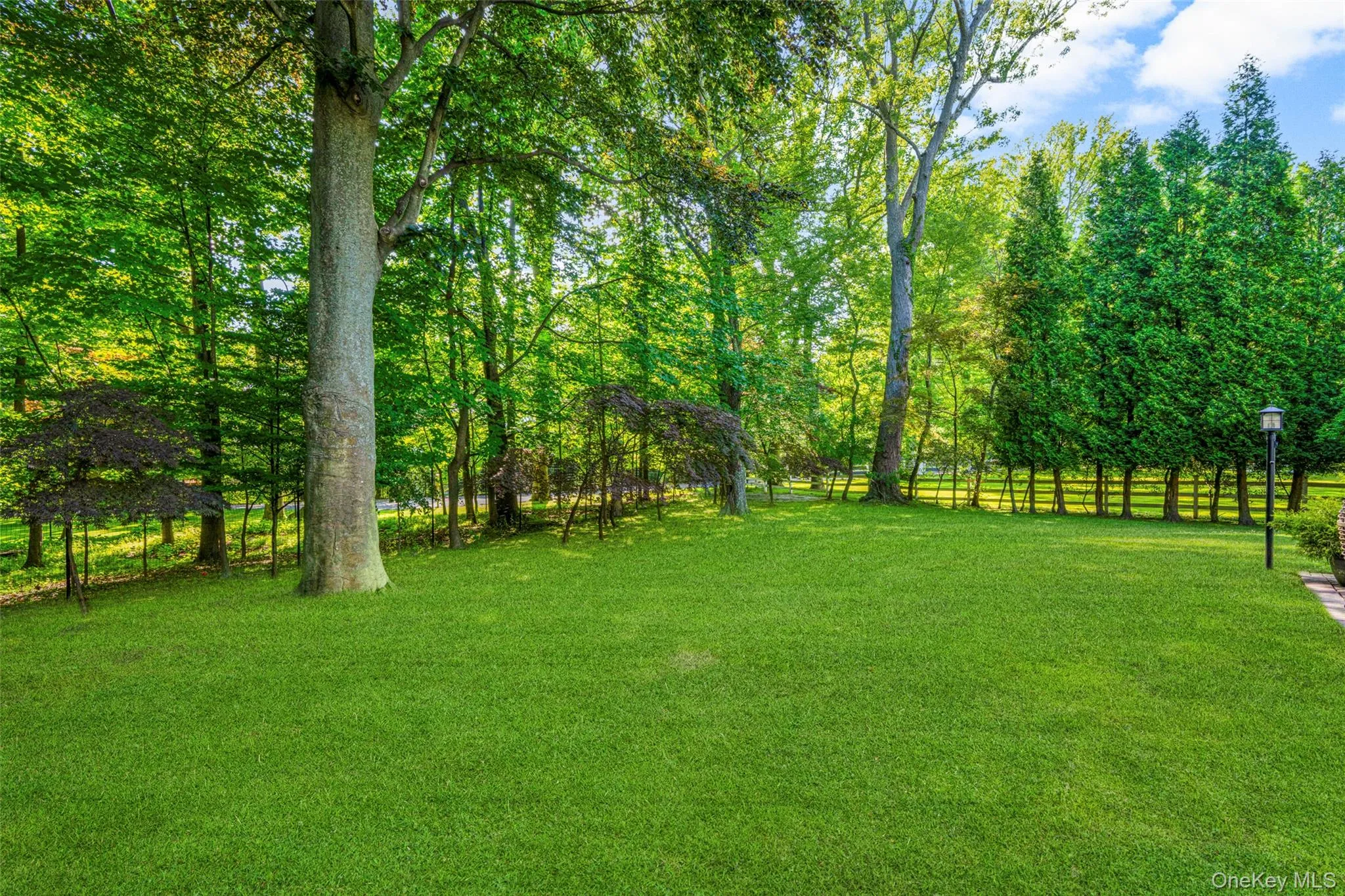 Gorgeous private yard with mature trees. Gorgeous private yard with mature trees.