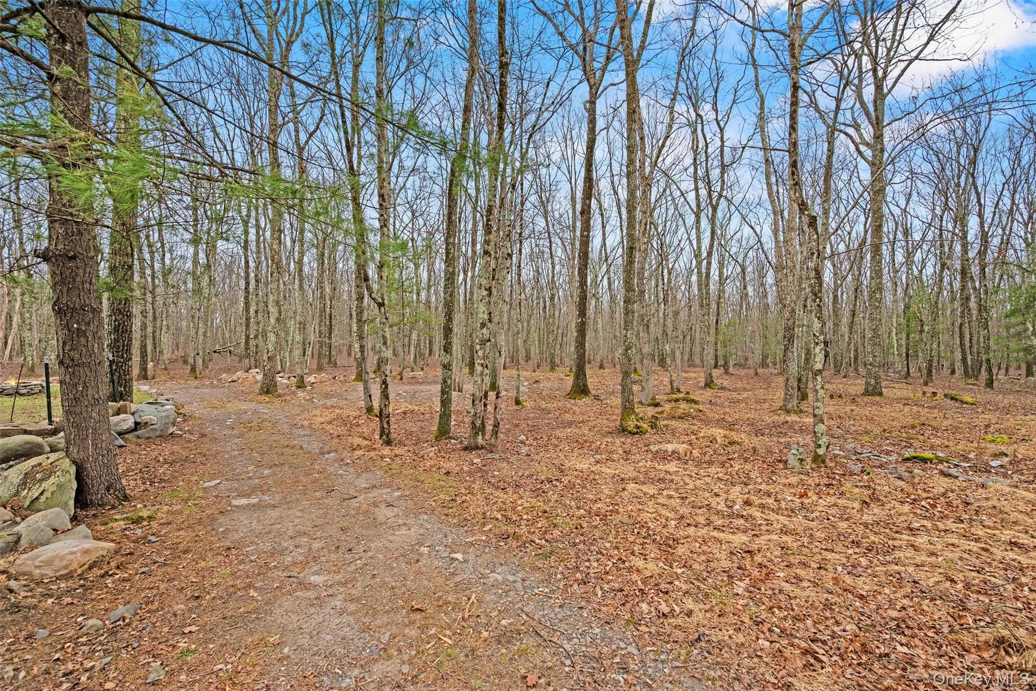 563 Peenpack Trail, Deerpark, NY, 3 Bedrooms Bedrooms, 6 Rooms Rooms,2 BathroomsBathrooms,Residential,For Rent,Peenpack,0,979369 563 Peenpack Trail, Deerpark, NY, 3 Bedrooms Bedrooms, 6 Rooms Rooms,2 BathroomsBathrooms,Residential,For Rent,Peenpack,0,979369