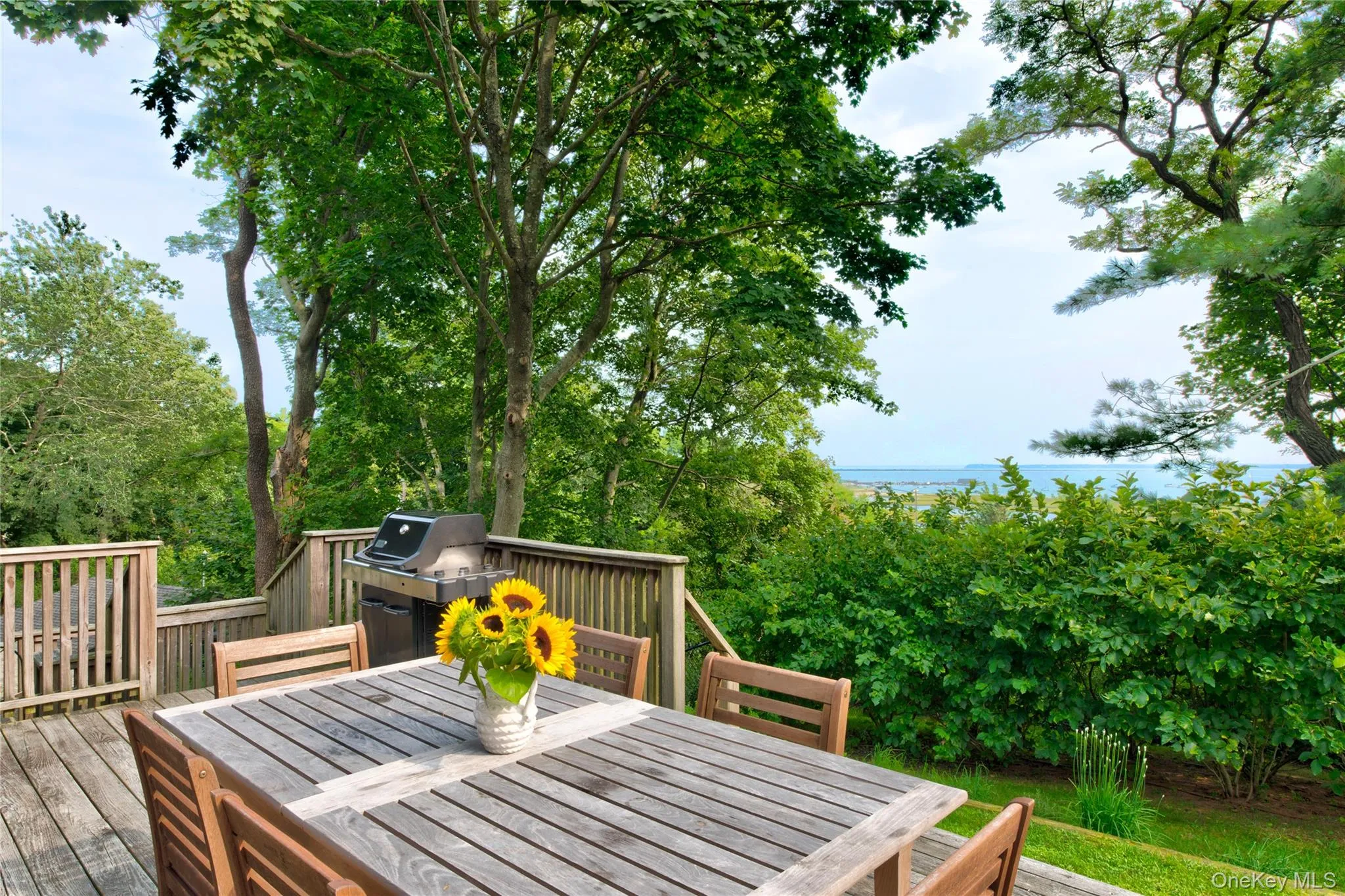 deck/grilling area deck/grilling area