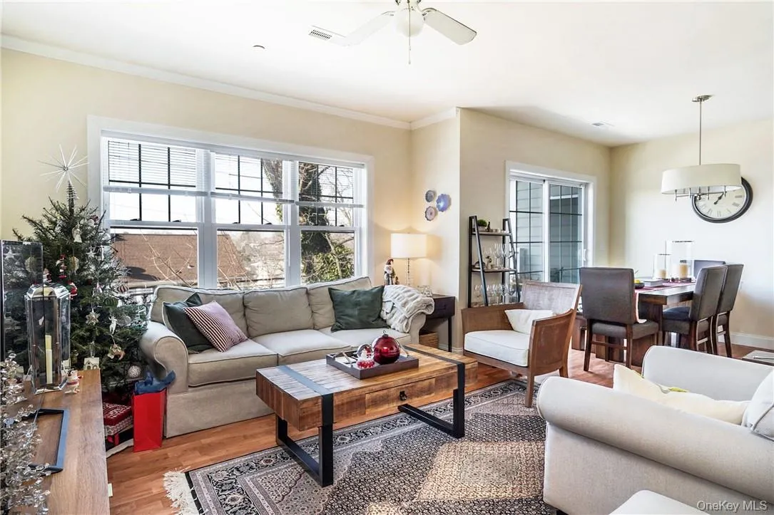 Living room with windows Living room with windows