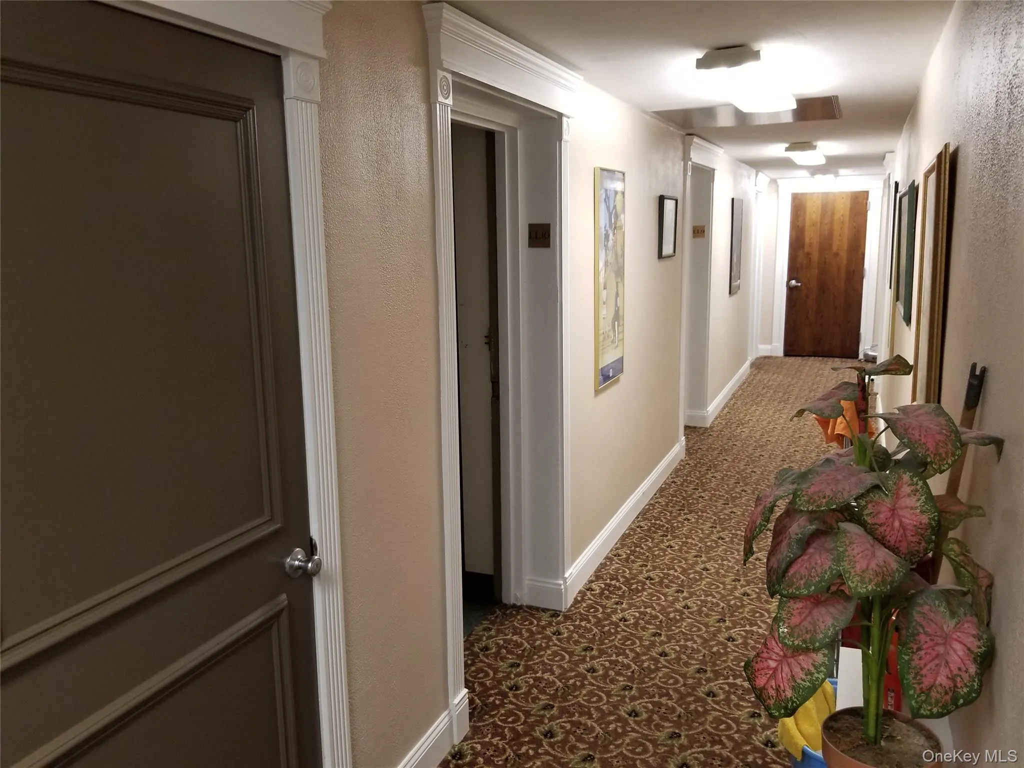 64 Division Avenue, Hempstead, NY, ,Commercial Lease,For Rent,Division,0,979432 64 Division Avenue, Hempstead, NY, ,Commercial Lease,For Rent,Division,0,979432