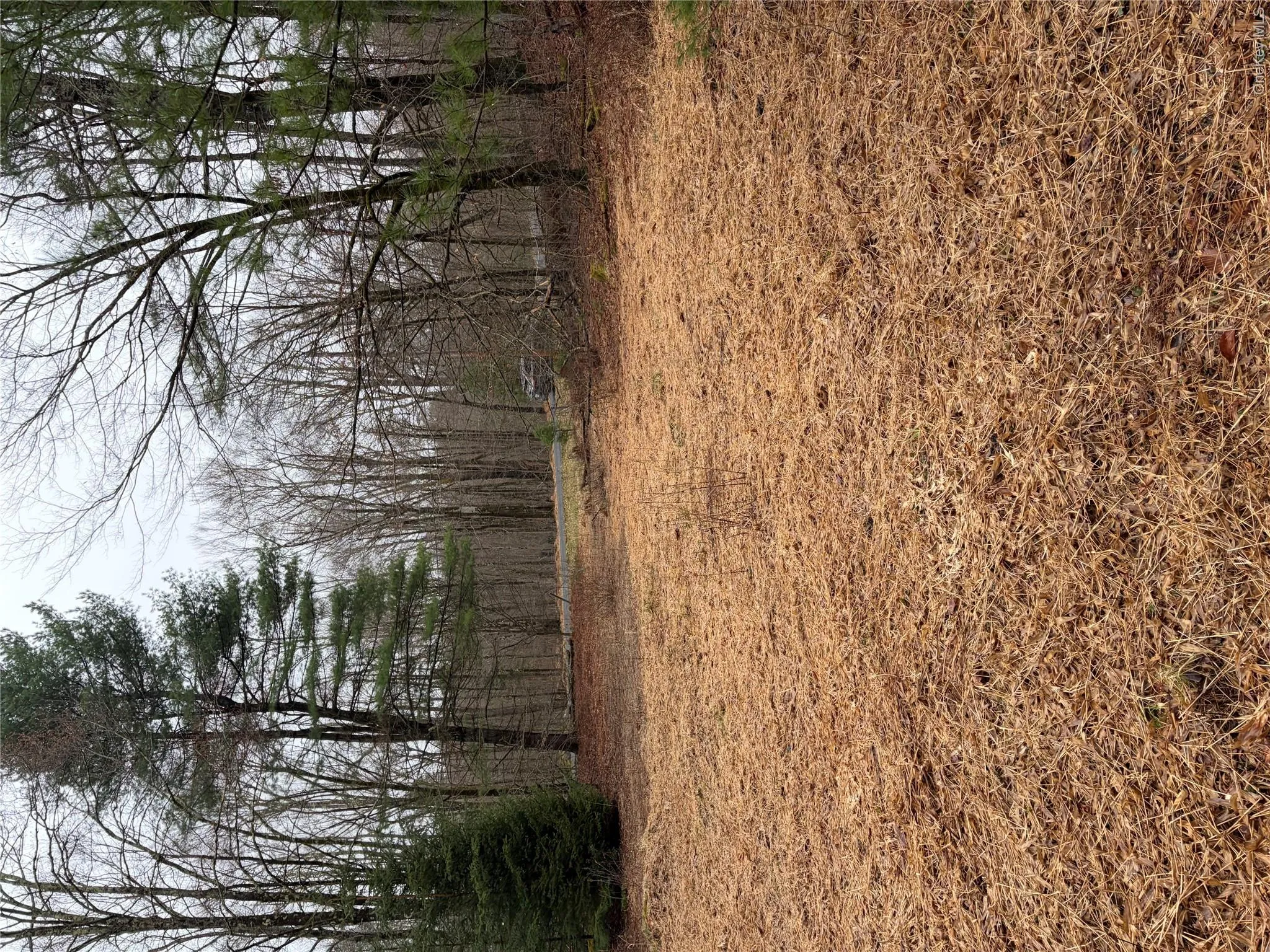 378 Gregory Road, Thompson, NY, ,Land,For Rent,Gregory,0,979479 378 Gregory Road, Thompson, NY, ,Land,For Rent,Gregory,0,979479