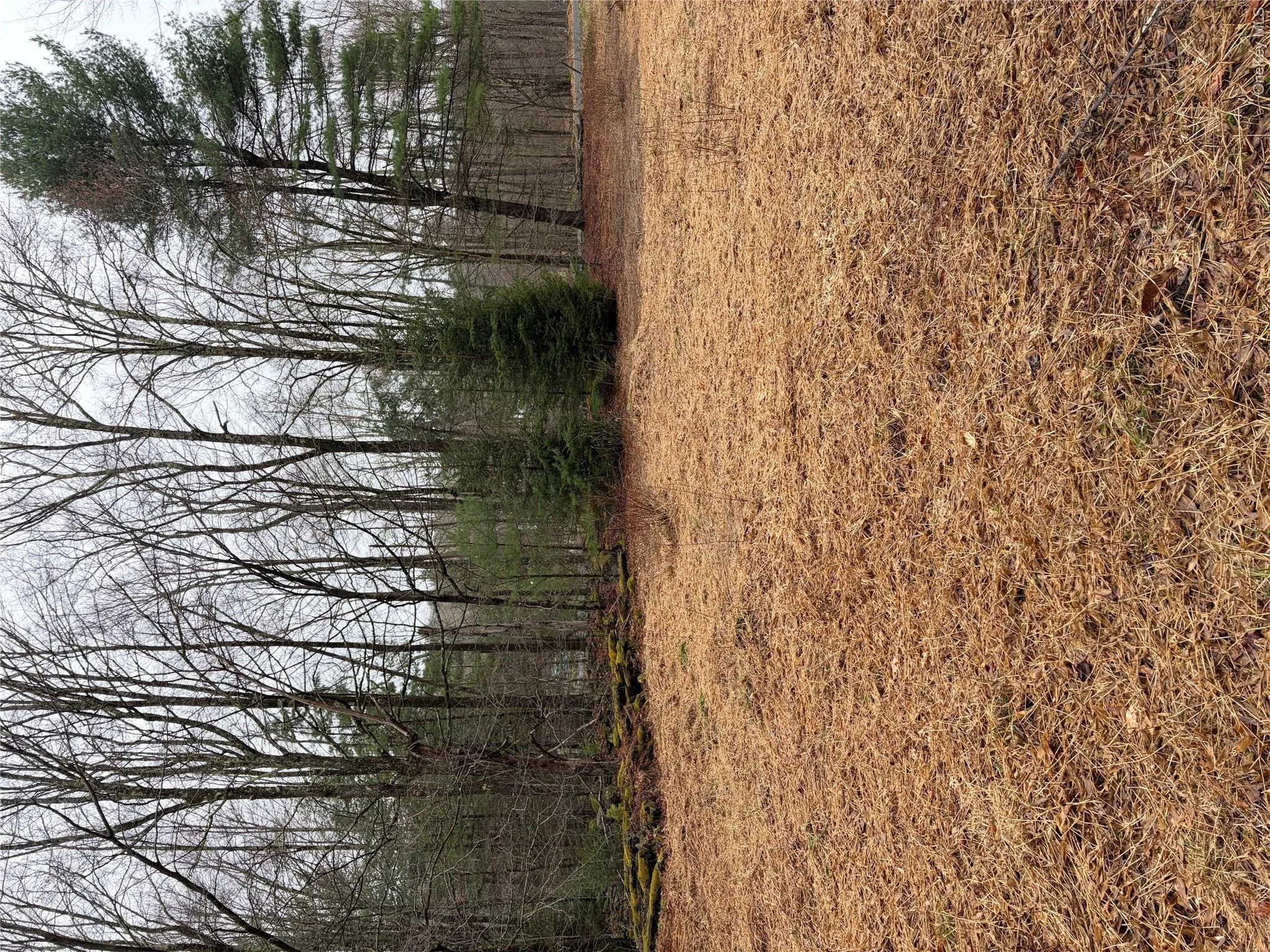378 Gregory Road, Thompson, NY, ,Land,For Rent,Gregory,0,979479 378 Gregory Road, Thompson, NY, ,Land,For Rent,Gregory,0,979479