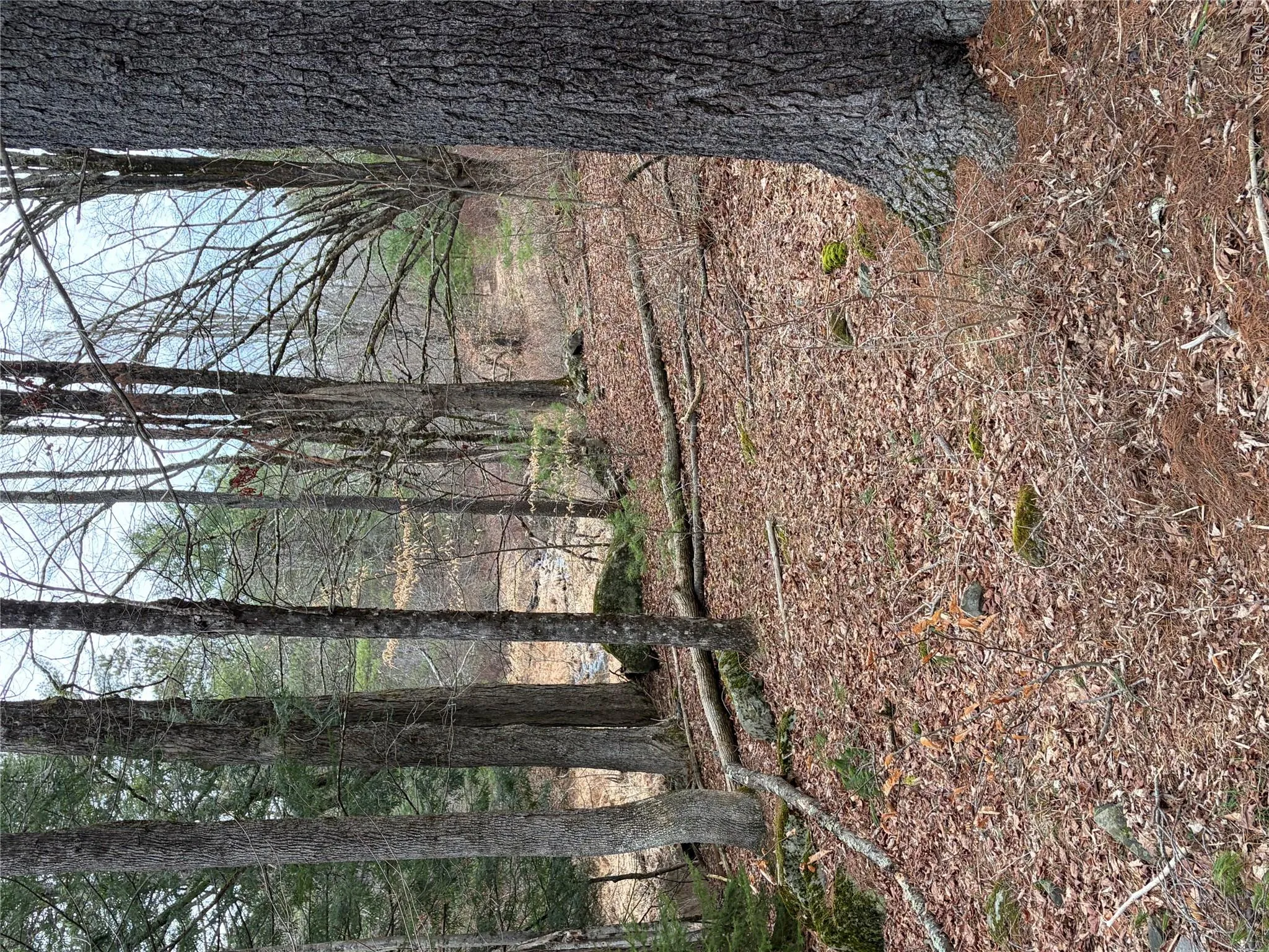 378 Gregory Road, Thompson, NY, ,Land,For Rent,Gregory,0,979479 378 Gregory Road, Thompson, NY, ,Land,For Rent,Gregory,0,979479