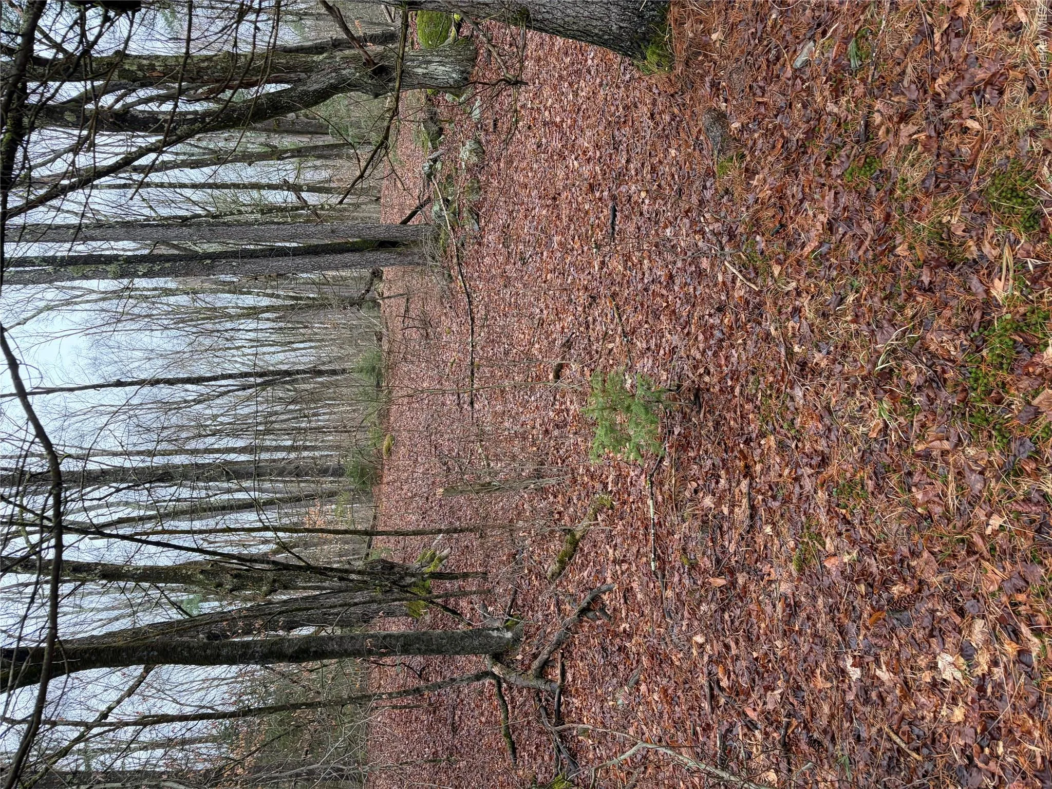 378 Gregory Road, Thompson, NY, ,Land,For Rent,Gregory,0,979479 378 Gregory Road, Thompson, NY, ,Land,For Rent,Gregory,0,979479