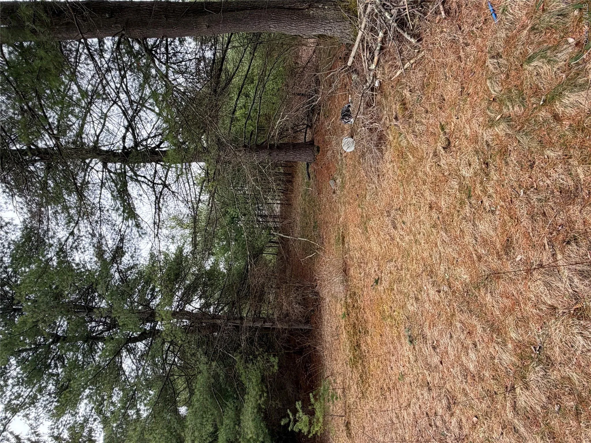 378 Gregory Road, Thompson, NY, ,Land,For Rent,Gregory,0,979479 378 Gregory Road, Thompson, NY, ,Land,For Rent,Gregory,0,979479