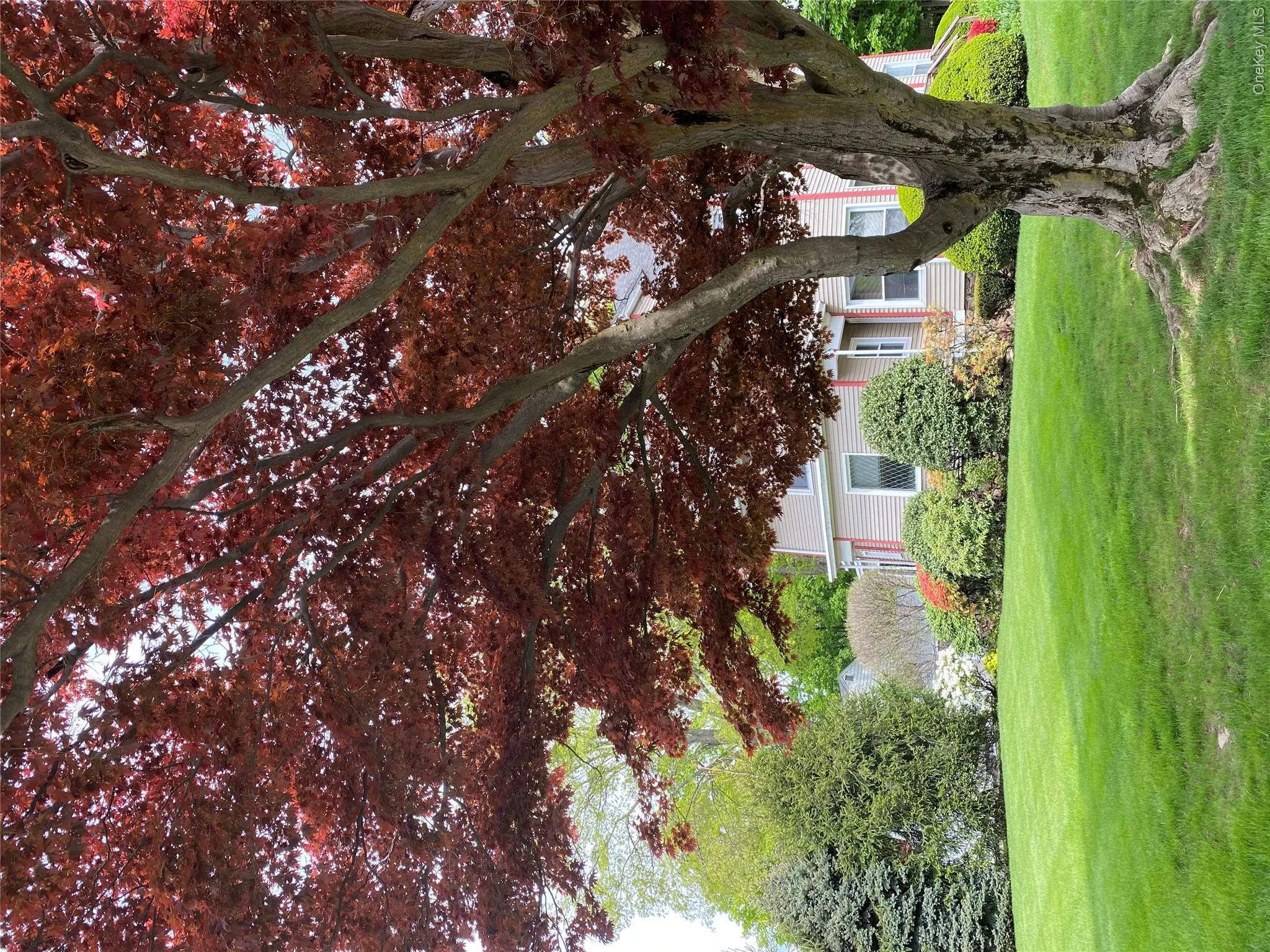 Corner of house. Corner of house.