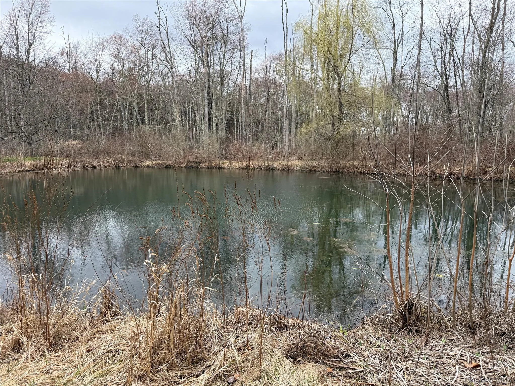 2518 Route 9G, Rhinebeck, NY, 3 Bedrooms Bedrooms, 6 Rooms Rooms,1 BathroomBathrooms,Residential,For Rent,Route 9G,0,979526 2518 Route 9G, Rhinebeck, NY, 3 Bedrooms Bedrooms, 6 Rooms Rooms,1 BathroomBathrooms,Residential,For Rent,Route 9G,0,979526