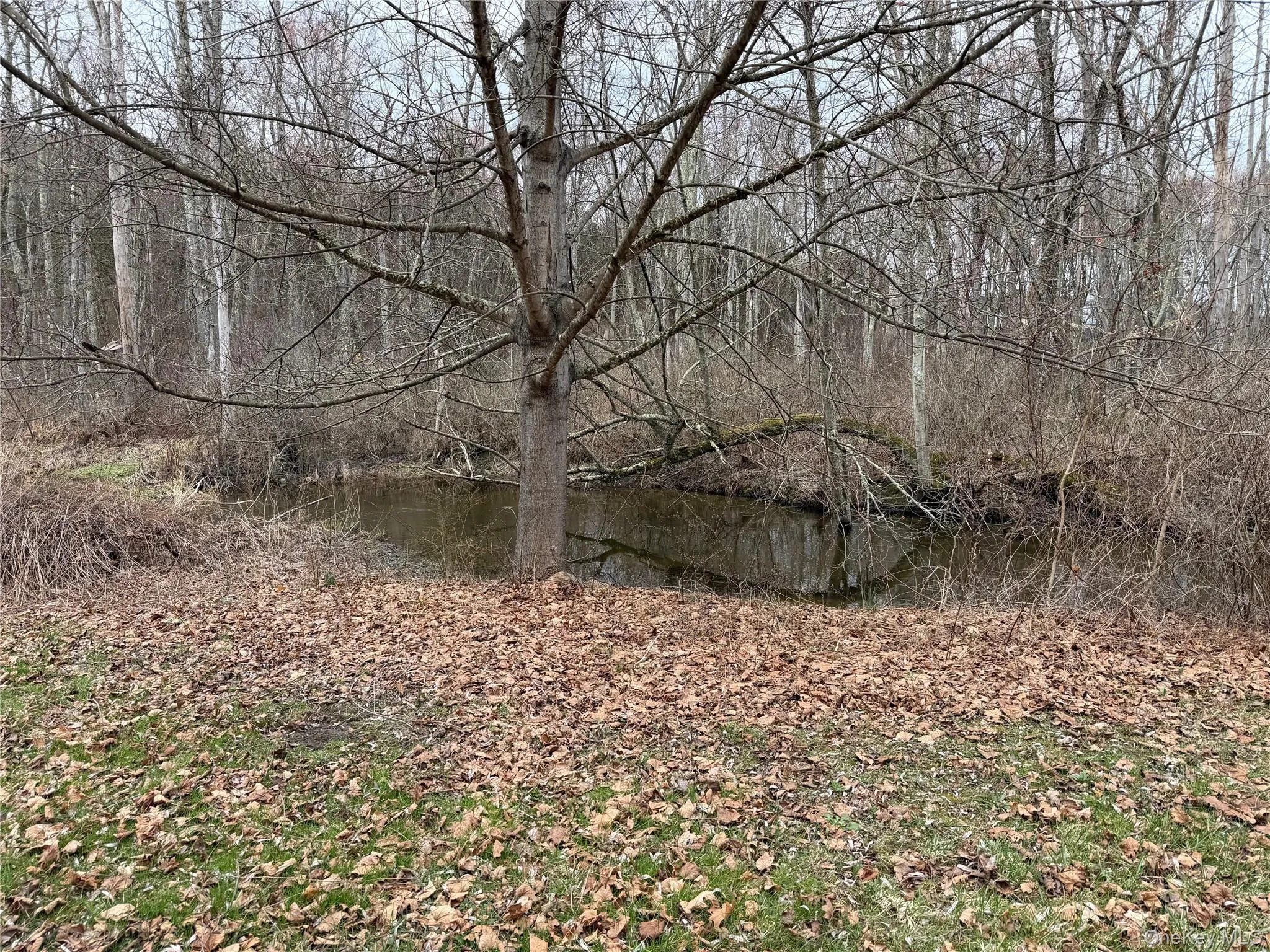 2518 Route 9G, Rhinebeck, NY, 3 Bedrooms Bedrooms, 6 Rooms Rooms,1 BathroomBathrooms,Residential,For Rent,Route 9G,0,979526 2518 Route 9G, Rhinebeck, NY, 3 Bedrooms Bedrooms, 6 Rooms Rooms,1 BathroomBathrooms,Residential,For Rent,Route 9G,0,979526