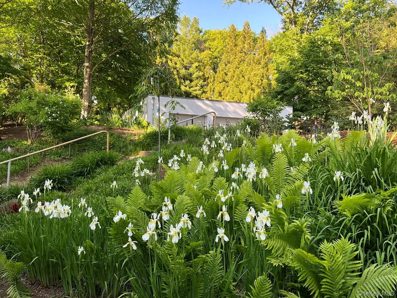 54 Cross Pond Road, Lewisboro, NY, 4 Bedrooms Bedrooms, 11 Rooms Rooms,4 BathroomsBathrooms,Residential,For Rent,Cross Pond,0,979591 54 Cross Pond Road, Lewisboro, NY, 4 Bedrooms Bedrooms, 11 Rooms Rooms,4 BathroomsBathrooms,Residential,For Rent,Cross Pond,0,979591