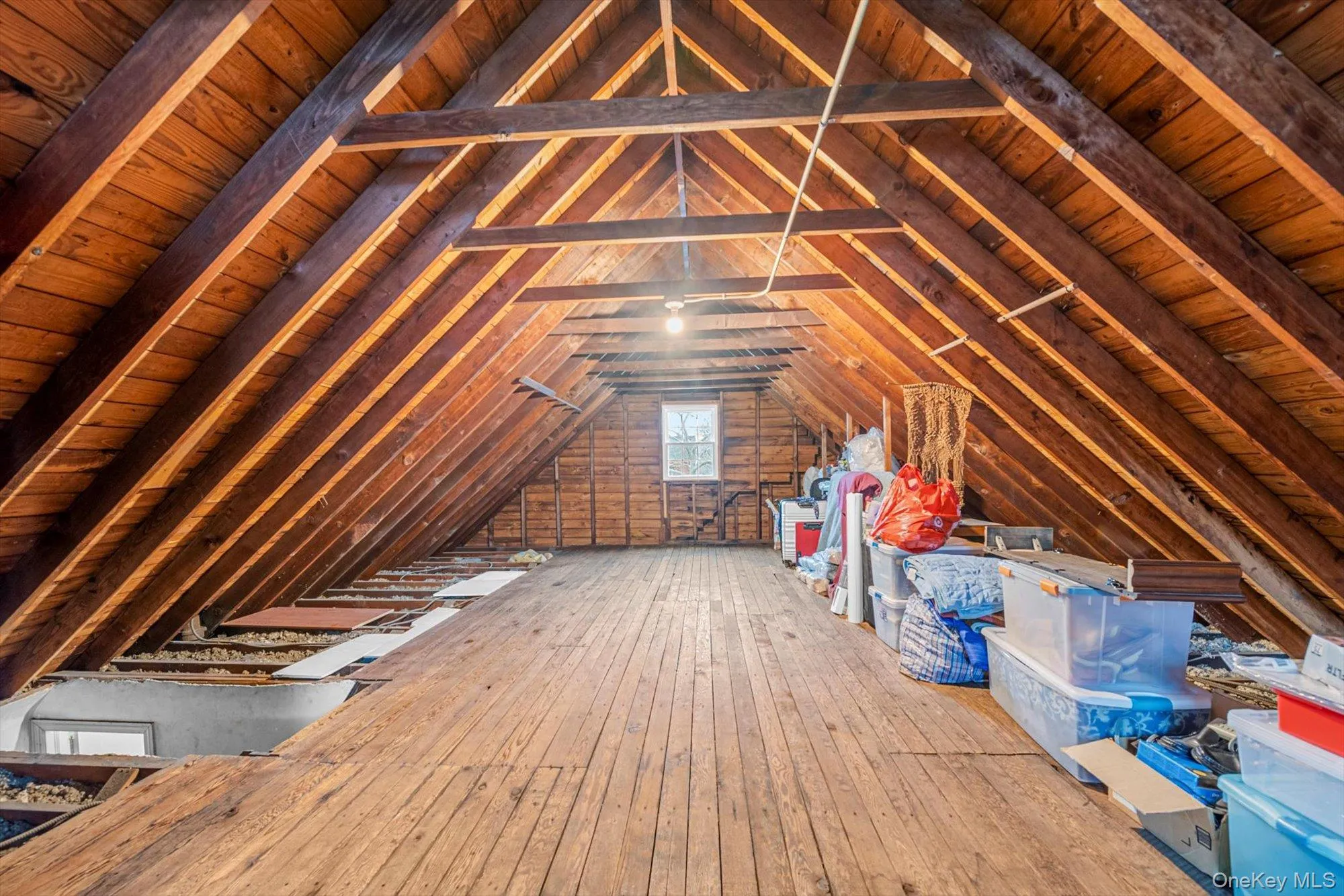 215-18 48th Avenue, New York, NY, 3 Bedrooms Bedrooms, 6 Rooms Rooms,1 BathroomBathrooms,Residential,For Rent,48th,0,979643 215-18 48th Avenue, New York, NY, 3 Bedrooms Bedrooms, 6 Rooms Rooms,1 BathroomBathrooms,Residential,For Rent,48th,0,979643