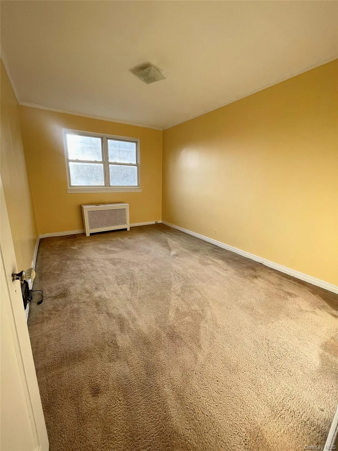 5434 66th Street, New York, NY, 2 Bedrooms Bedrooms, 2 Rooms Rooms,1 BathroomBathrooms,Residential Lease,For Rent,66th,0,979717 5434 66th Street, New York, NY, 2 Bedrooms Bedrooms, 2 Rooms Rooms,1 BathroomBathrooms,Residential Lease,For Rent,66th,0,979717