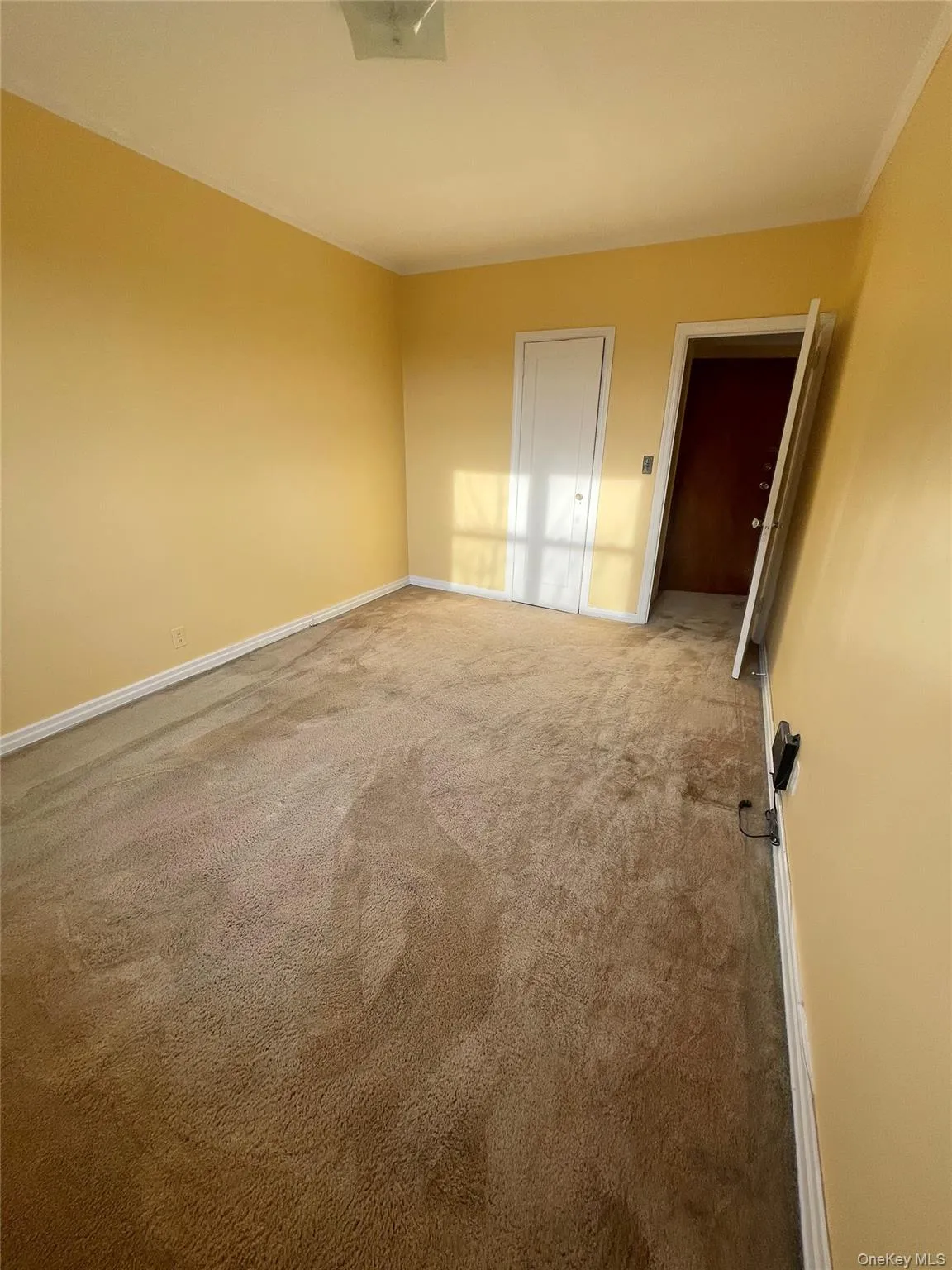 5434 66th Street, New York, NY, 2 Bedrooms Bedrooms, 2 Rooms Rooms,1 BathroomBathrooms,Residential Lease,For Rent,66th,0,979717 5434 66th Street, New York, NY, 2 Bedrooms Bedrooms, 2 Rooms Rooms,1 BathroomBathrooms,Residential Lease,For Rent,66th,0,979717