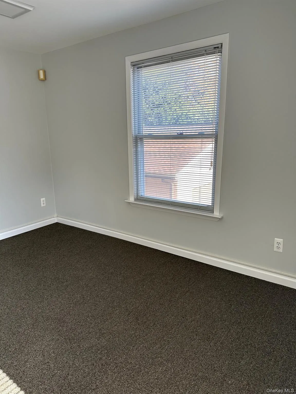 456 Jericho Turnpike, Huntington, NY, ,Commercial Lease,For Rent,Jericho,0,979751 456 Jericho Turnpike, Huntington, NY, ,Commercial Lease,For Rent,Jericho,0,979751