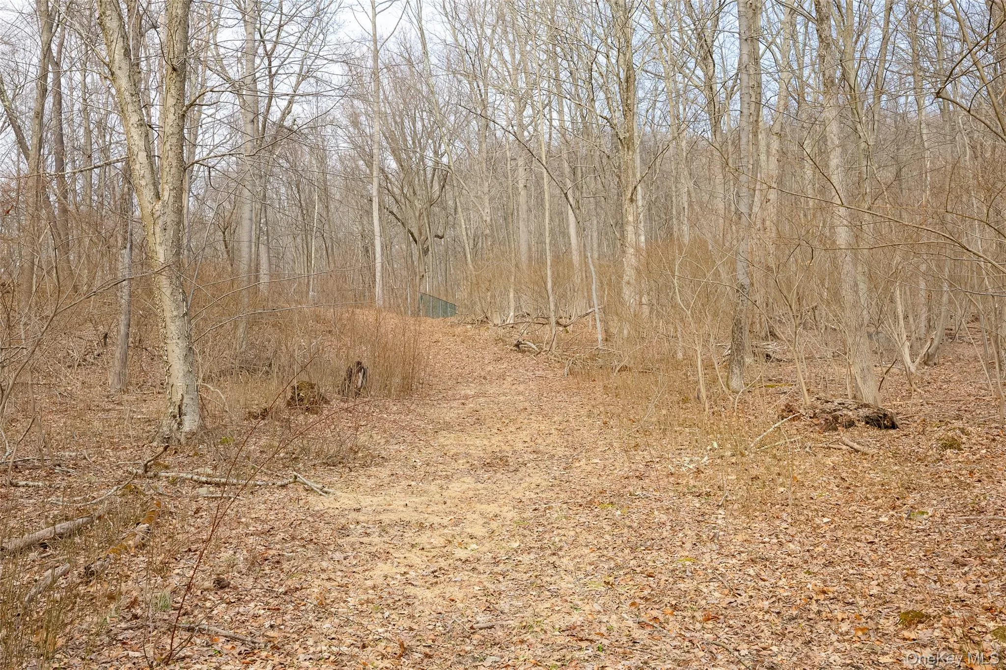 530 Eder Road, East Fishkill, NY, ,Land,For Rent,Eder,0,979885 530 Eder Road, East Fishkill, NY, ,Land,For Rent,Eder,0,979885