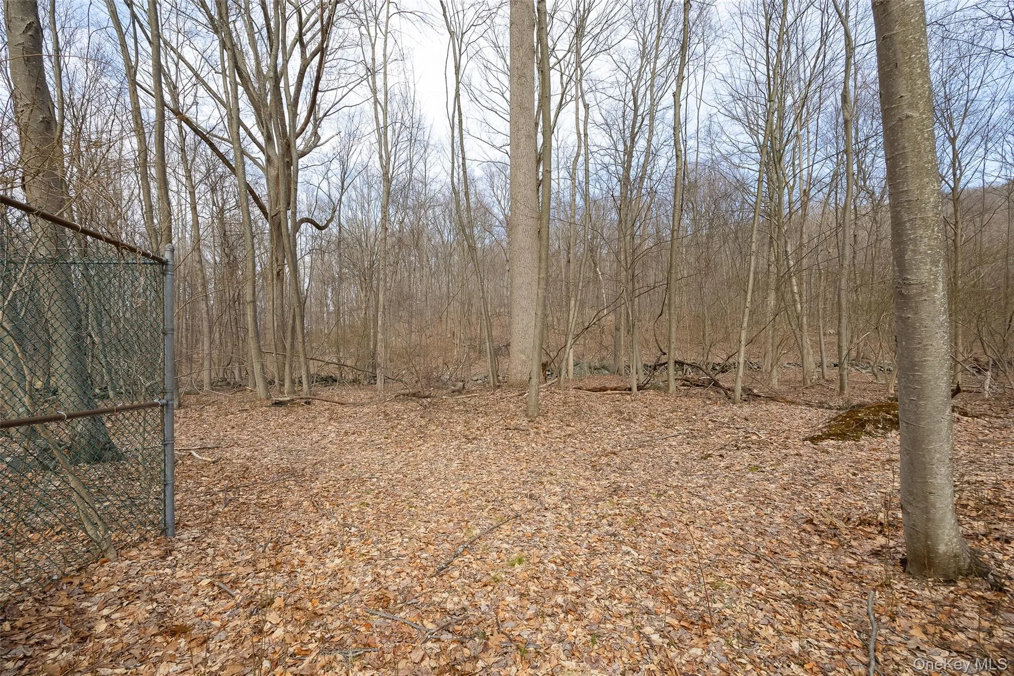 530 Eder Road, East Fishkill, NY, ,Land,For Rent,Eder,0,979885 530 Eder Road, East Fishkill, NY, ,Land,For Rent,Eder,0,979885
