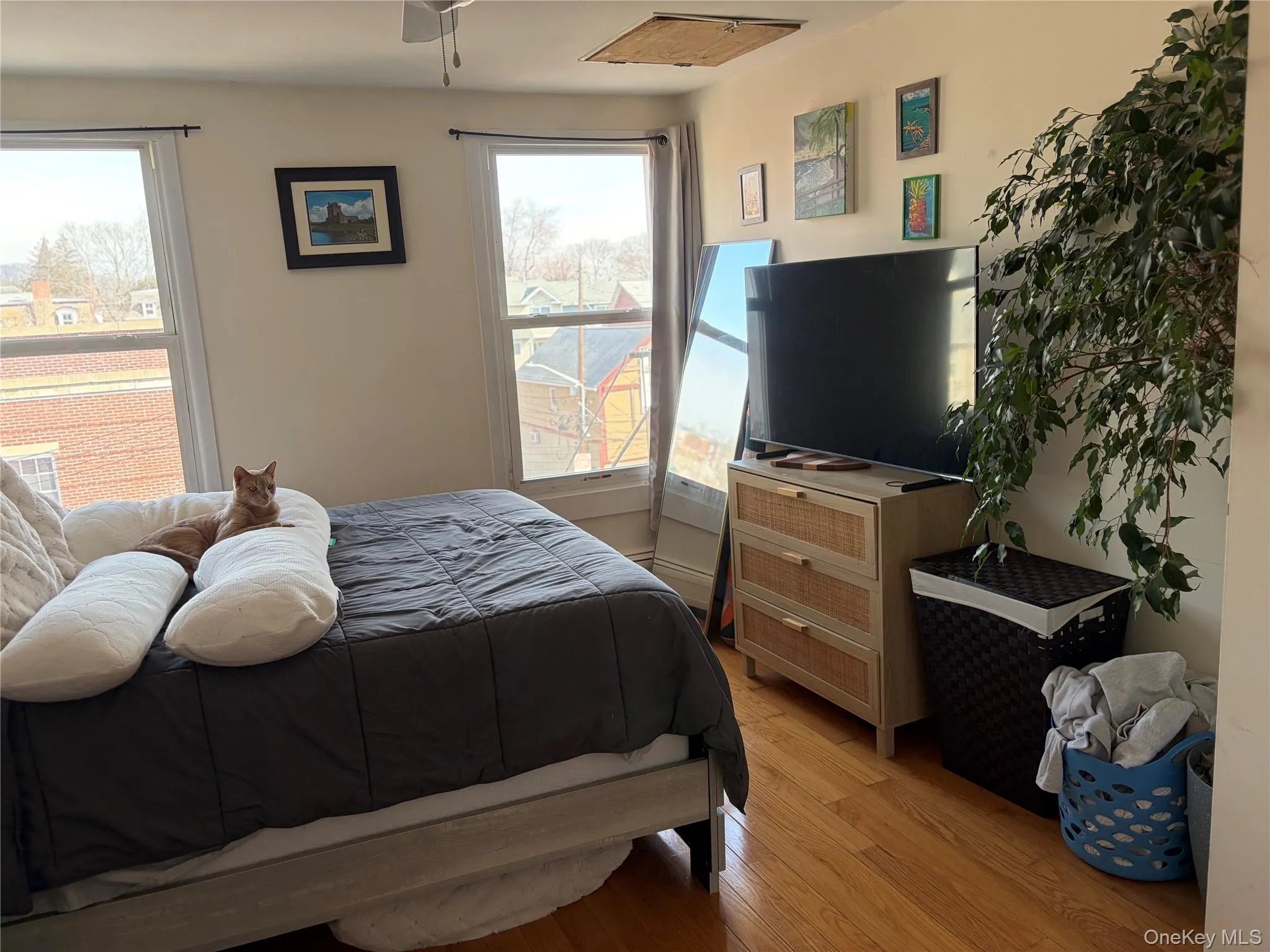 116 Main Street, Orangetown, NY, 2 Bedrooms Bedrooms, 6 Rooms Rooms,1 BathroomBathrooms,Residential Lease,For Rent,Main,0,979912 116 Main Street, Orangetown, NY, 2 Bedrooms Bedrooms, 6 Rooms Rooms,1 BathroomBathrooms,Residential Lease,For Rent,Main,0,979912