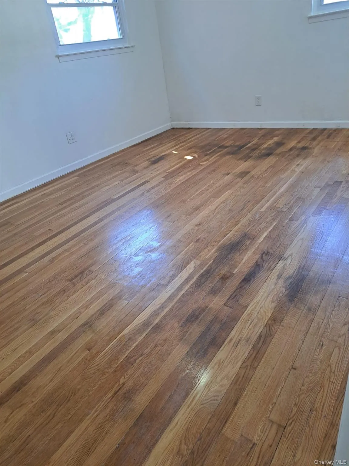 11530 Inwood Street, New York, NY, 3 Bedrooms Bedrooms, 3 Rooms Rooms,1 BathroomBathrooms,Residential Lease,For Rent,Inwood,0,979948 11530 Inwood Street, New York, NY, 3 Bedrooms Bedrooms, 3 Rooms Rooms,1 BathroomBathrooms,Residential Lease,For Rent,Inwood,0,979948