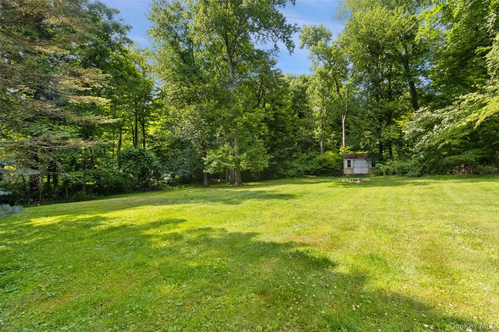 Large level backyard. Large level backyard.