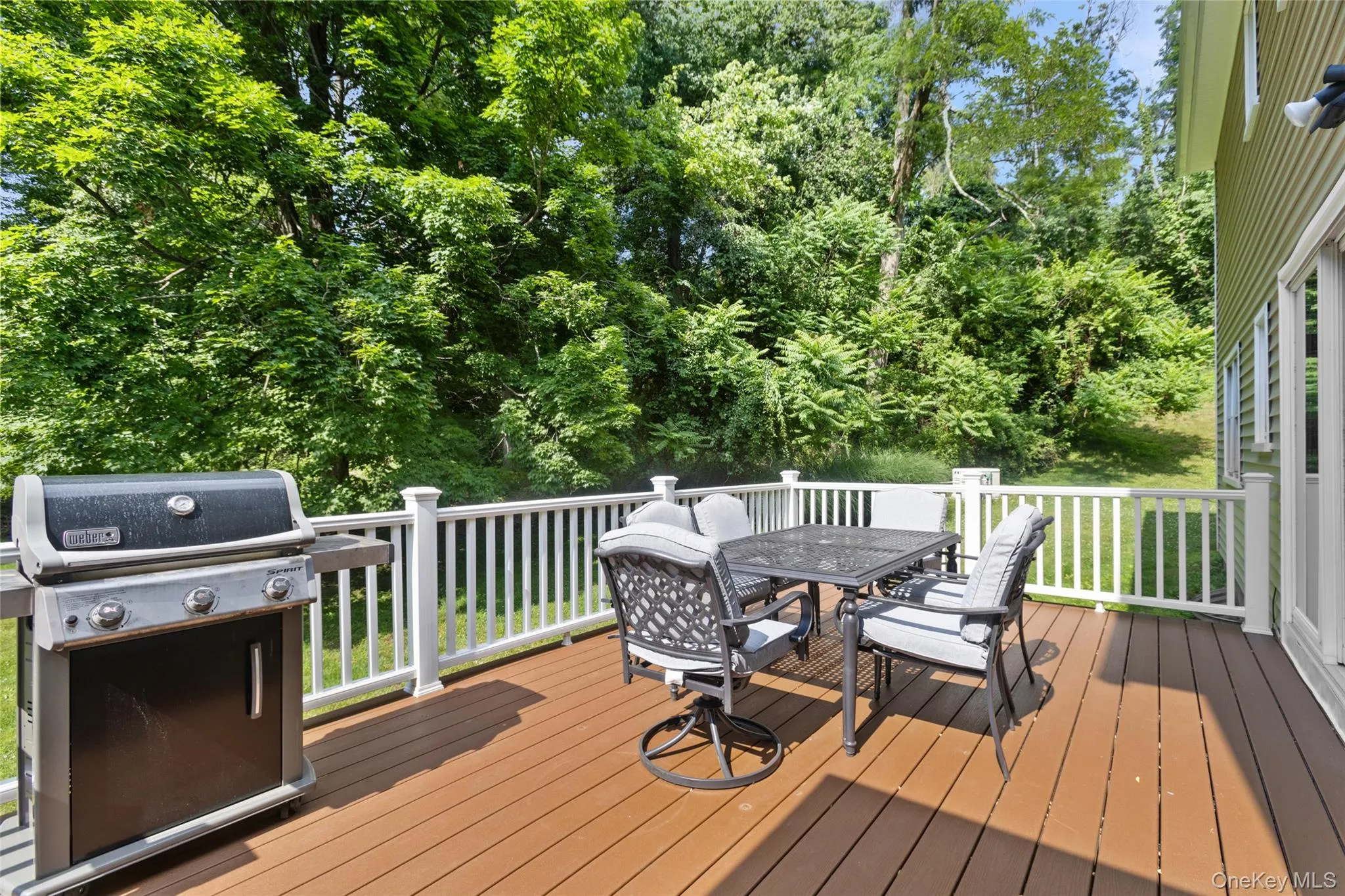 Trex back deck Trex back deck