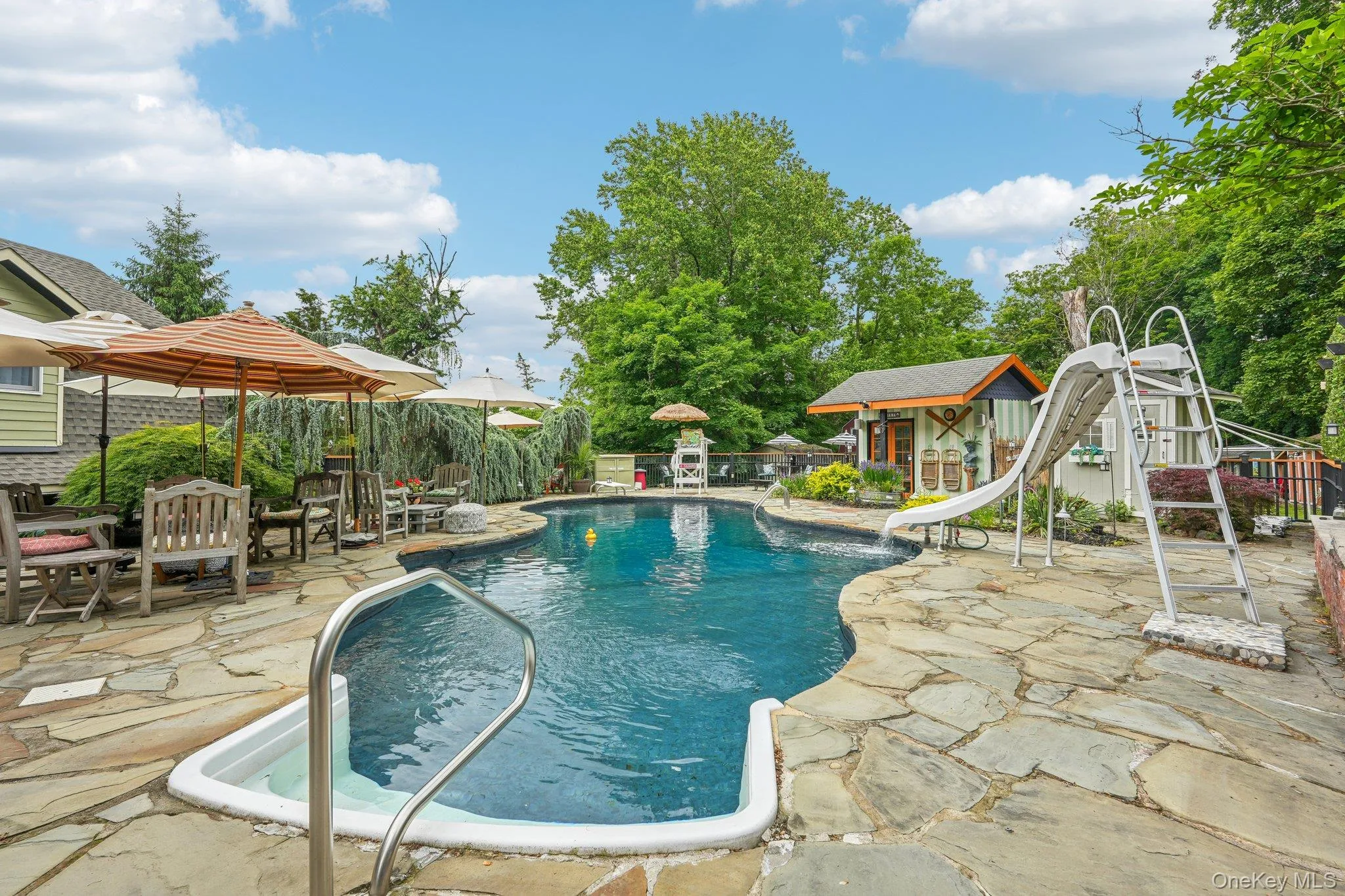 Mountain Lake design pool with water slide Mountain Lake design pool with water slide