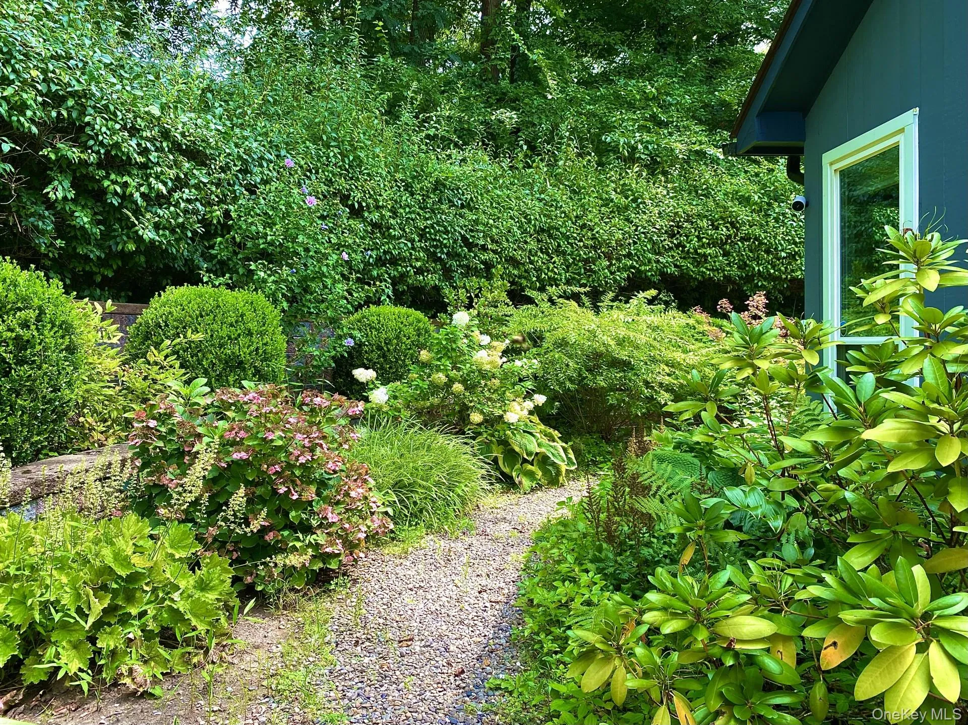 Wonderful plantings Wonderful plantings