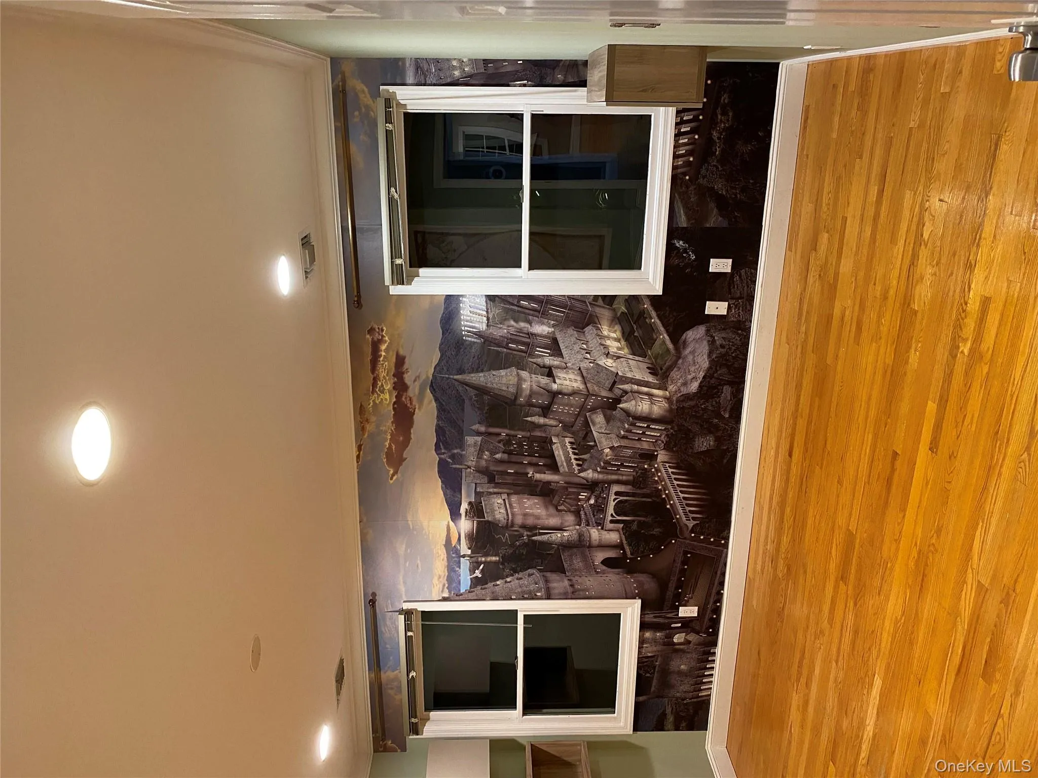 Lower level bedroom #5 Lower level bedroom #5