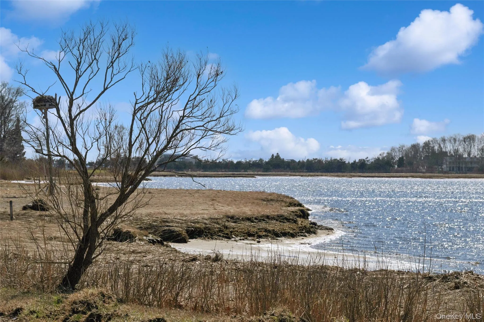 250 Oak Road, Southold, NY, 2 Bedrooms Bedrooms, 7 Rooms Rooms,2 BathroomsBathrooms,Residential Lease,For Rent,Oak,0,980096 250 Oak Road, Southold, NY, 2 Bedrooms Bedrooms, 7 Rooms Rooms,2 BathroomsBathrooms,Residential Lease,For Rent,Oak,0,980096