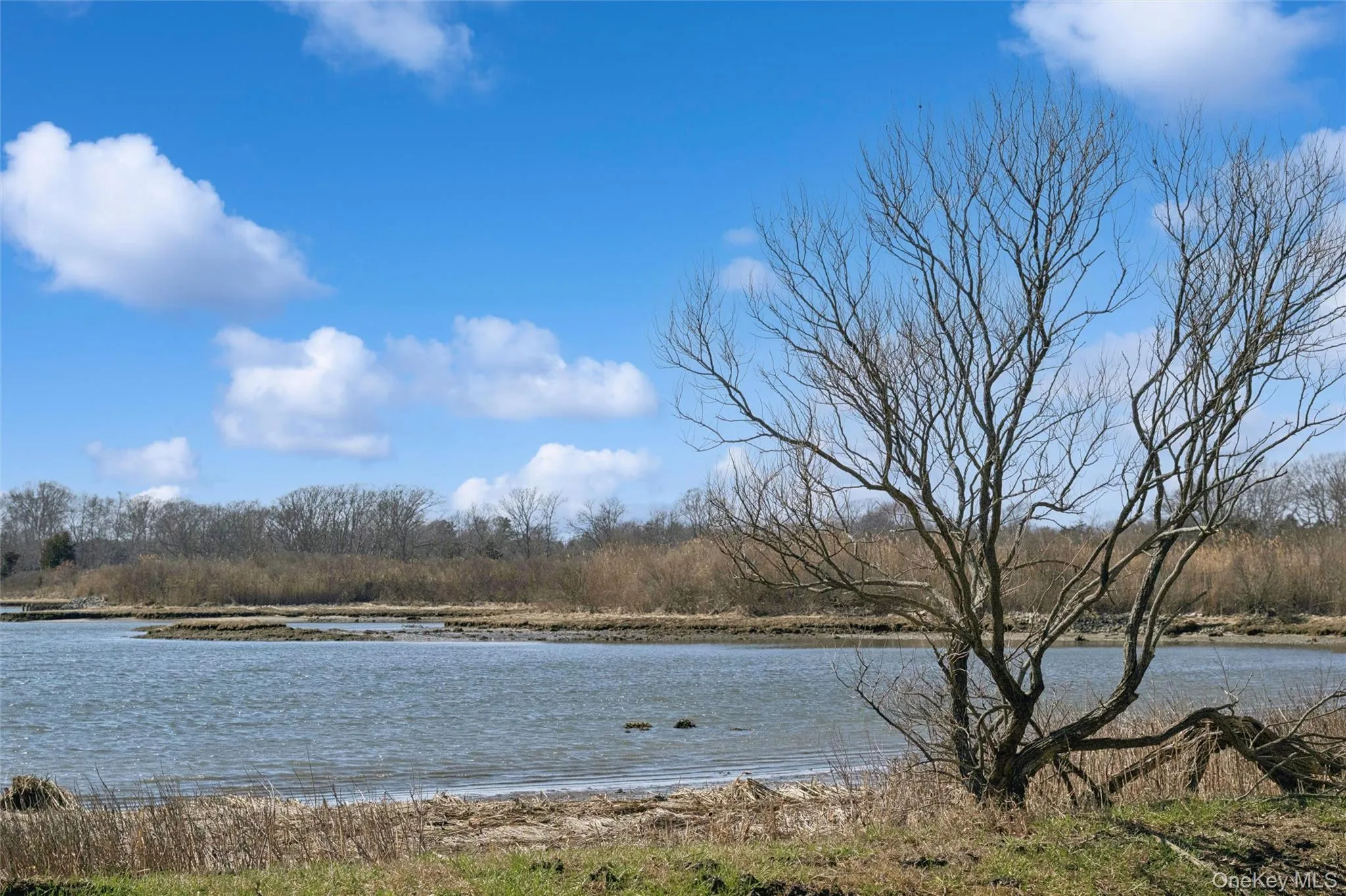 250 Oak Road, Southold, NY, 2 Bedrooms Bedrooms, 7 Rooms Rooms,2 BathroomsBathrooms,Residential Lease,For Rent,Oak,0,980096 250 Oak Road, Southold, NY, 2 Bedrooms Bedrooms, 7 Rooms Rooms,2 BathroomsBathrooms,Residential Lease,For Rent,Oak,0,980096