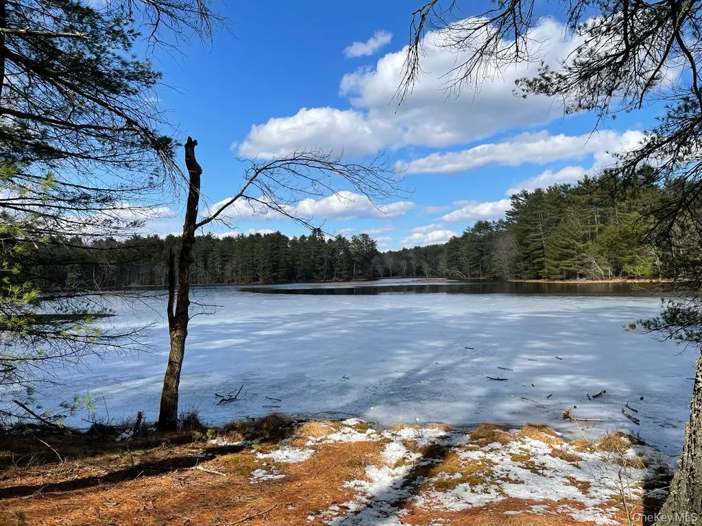 Water view with a forest Water view with a forest