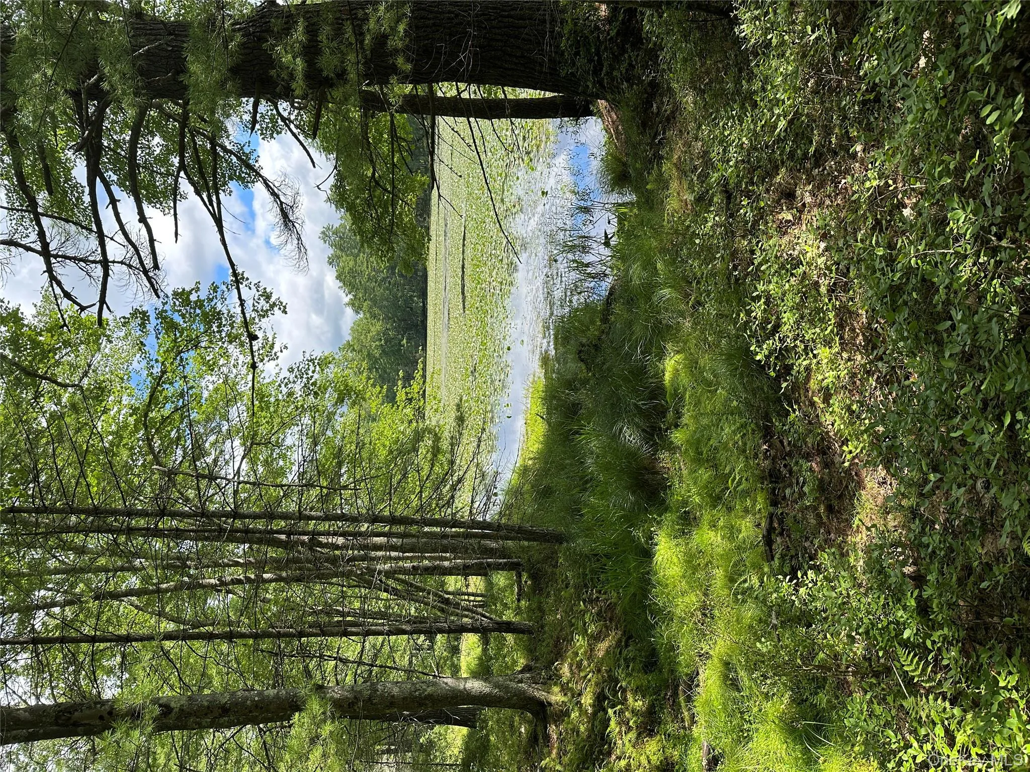 Land View w water beyond Land View w water beyond