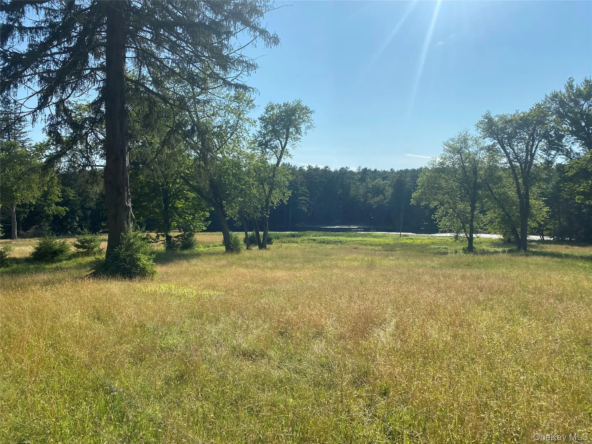 View of field featuring a view of trees View of field featuring a view of trees