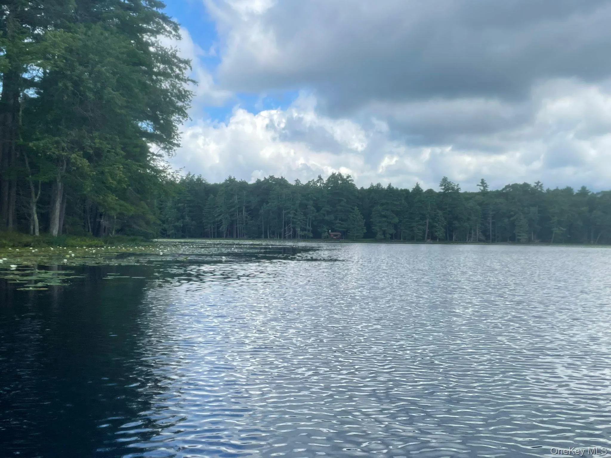 Water view featuring wooded area around the lake Water view featuring wooded area around the lake