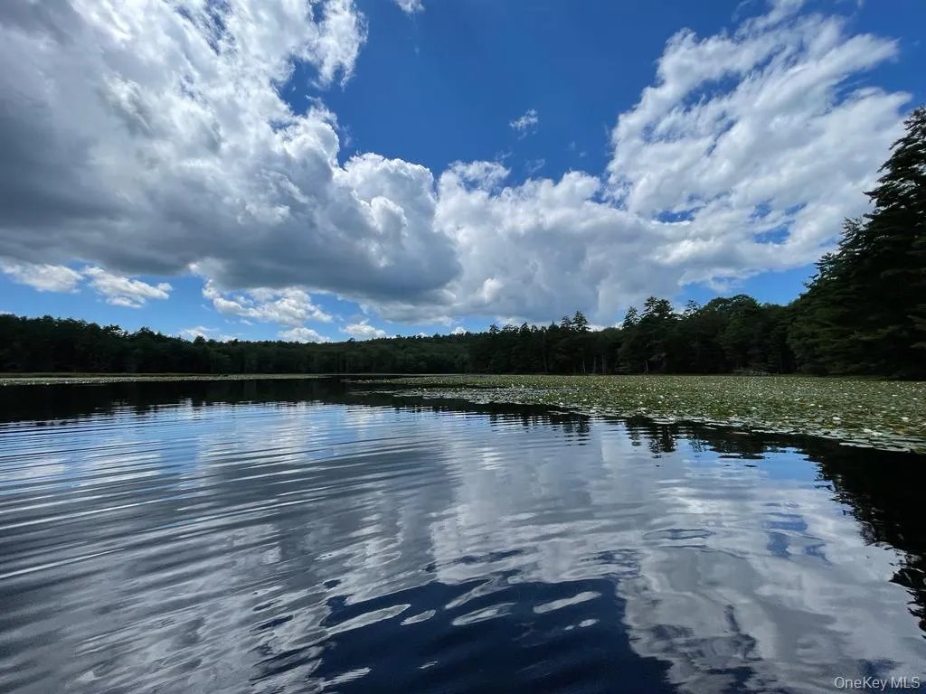 Water view and woods Water view and woods