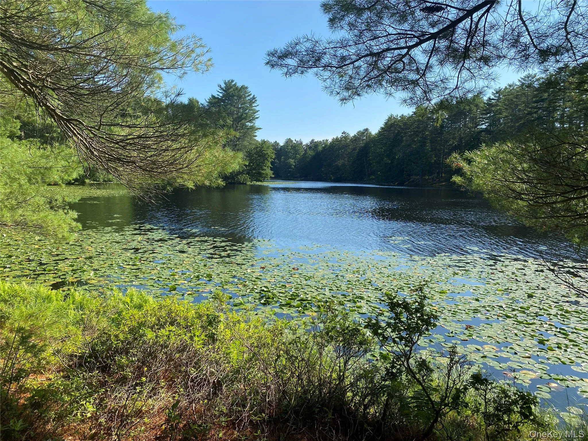 Water view Water view