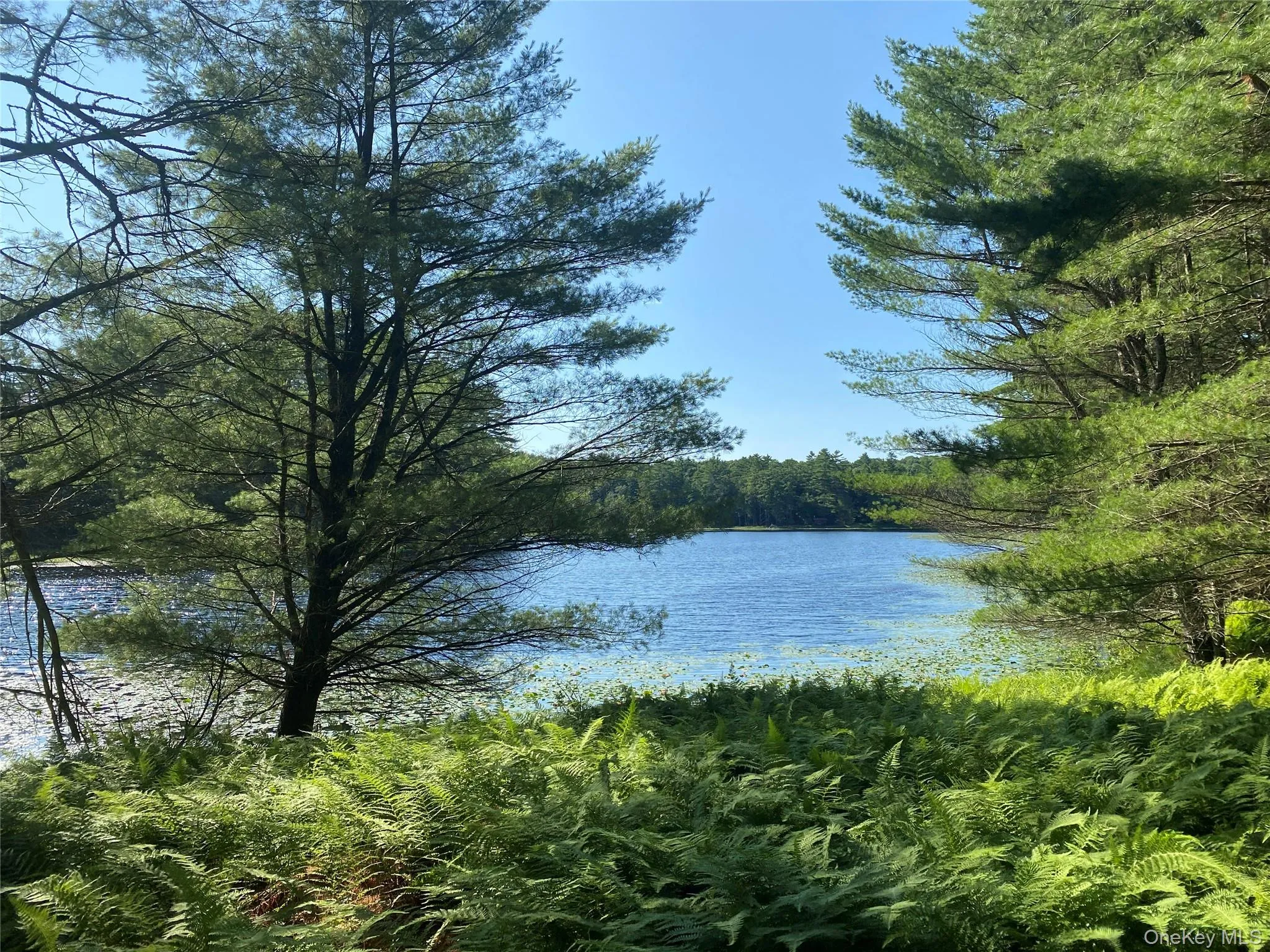 Water view with a wooded area Water view with a wooded area