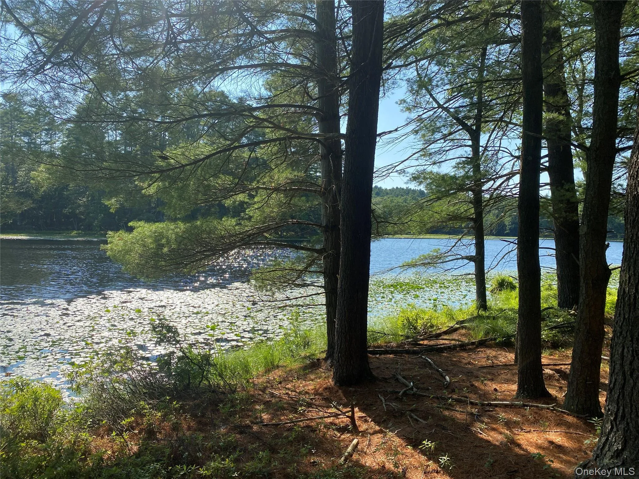 Water view Water view