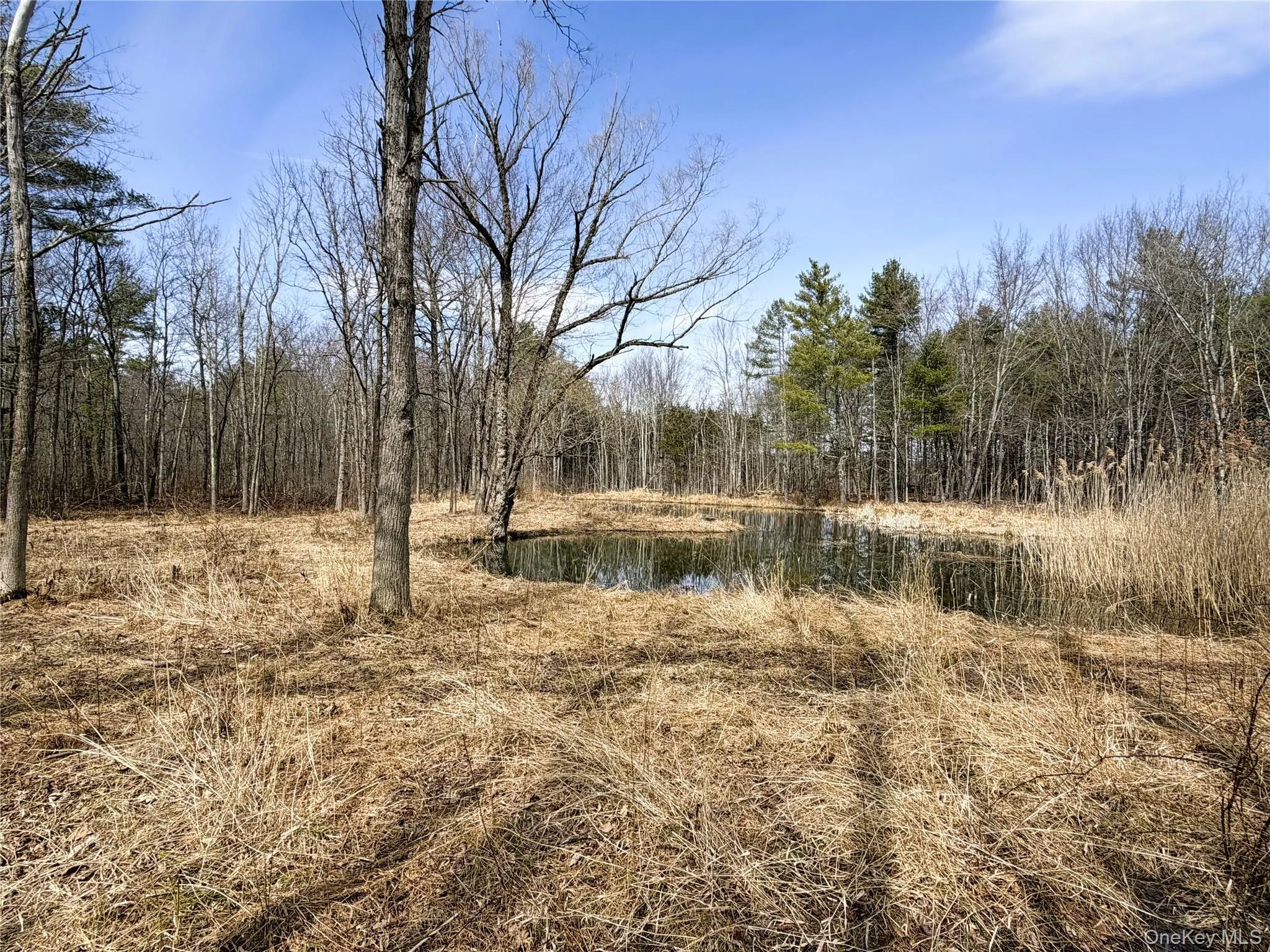 TBD Frank Hitchcock Road, Cairo, NY, ,Land,For Rent,Frank Hitchcock,0,980137 TBD Frank Hitchcock Road, Cairo, NY, ,Land,For Rent,Frank Hitchcock,0,980137
