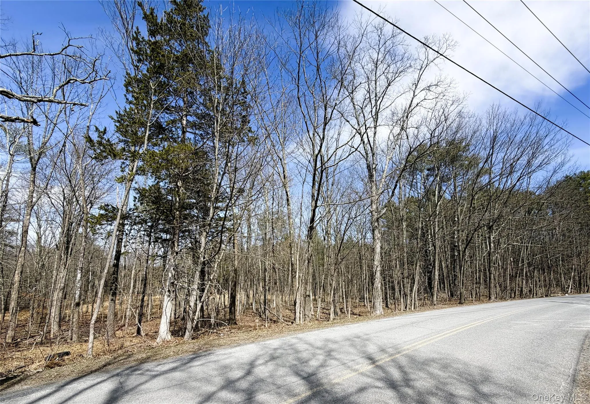 TBD Frank Hitchcock Road, Cairo, NY, ,Land,For Rent,Frank Hitchcock,0,980137 TBD Frank Hitchcock Road, Cairo, NY, ,Land,For Rent,Frank Hitchcock,0,980137