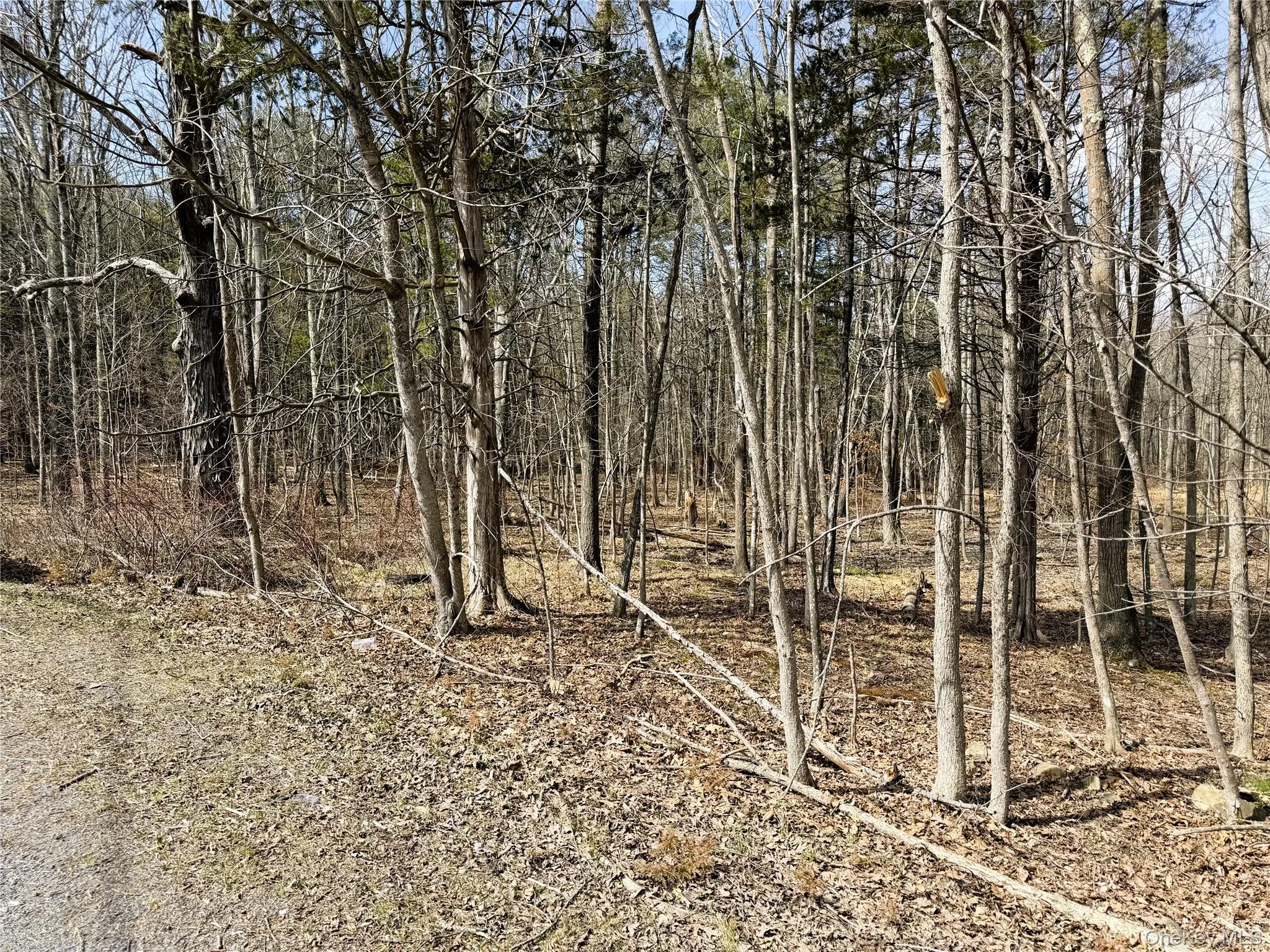 TBD Frank Hitchcock Road, Cairo, NY, ,Land,For Rent,Frank Hitchcock,0,980137 TBD Frank Hitchcock Road, Cairo, NY, ,Land,For Rent,Frank Hitchcock,0,980137